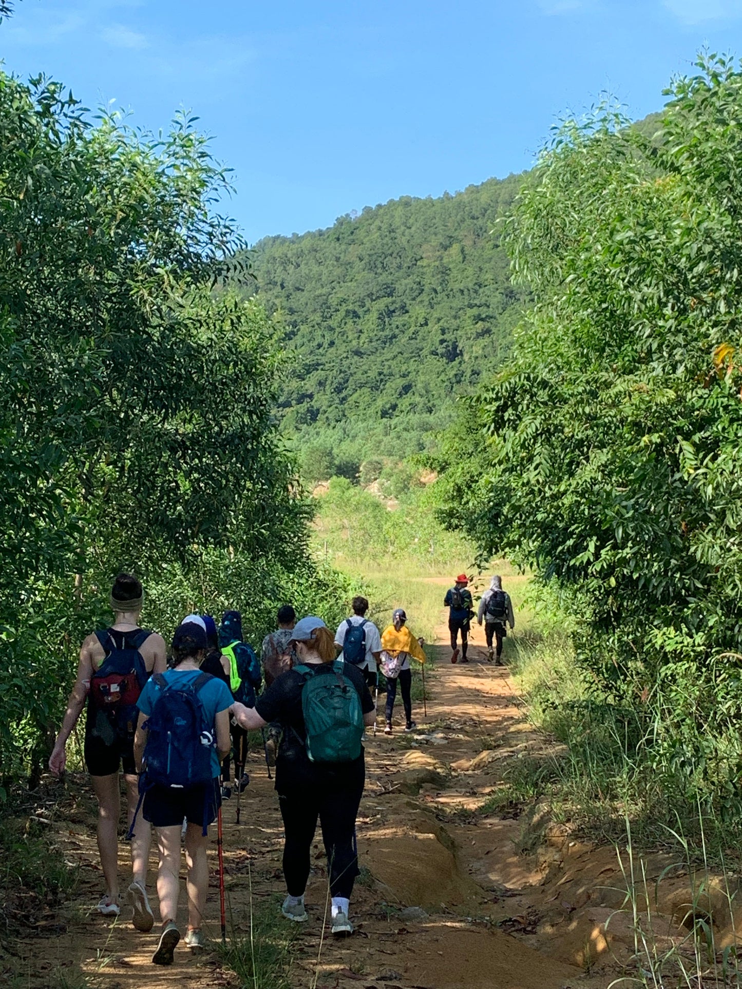 86A2: Hiking Two Peaks Amidst Bamboo Trails with Stunning Summit Views