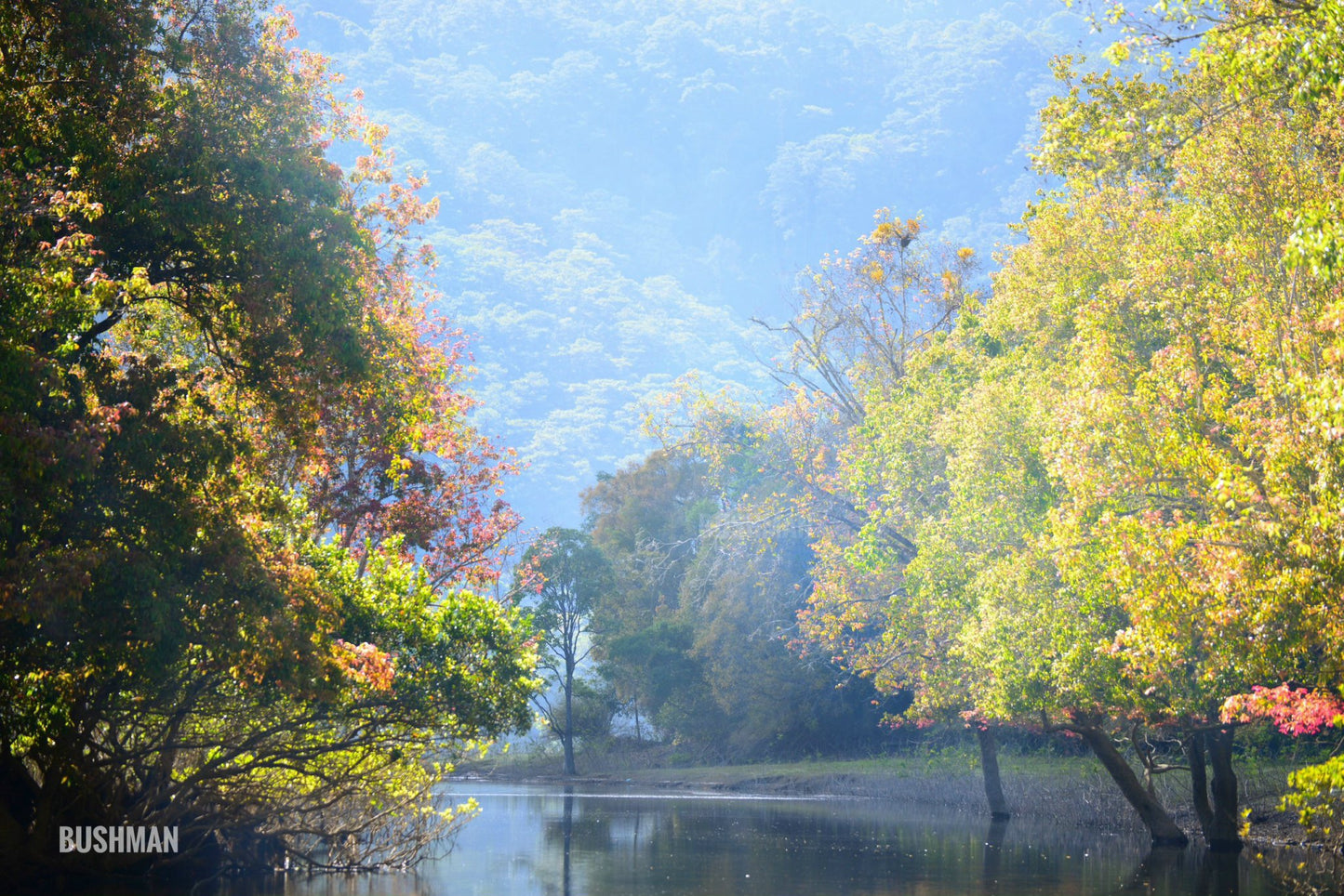 8B: (2 Days) Da Man Forest: Land of Fairy Tales In The Red Leaf Season