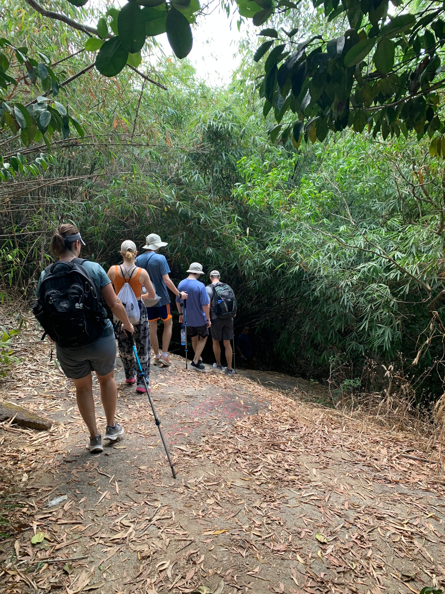 7B: (2 DAYS) Dinh Mountain: Go Gang Island, The Journey Through The Forest