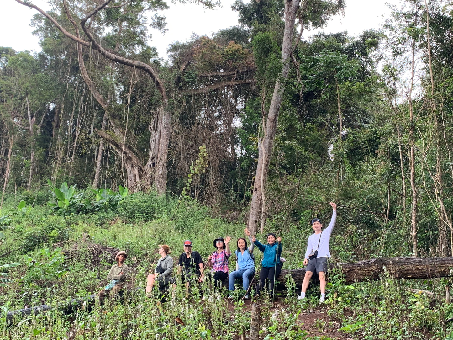 A3C (3 DAYS): Mondulkiri, Endless Green Meadows in Cambodia