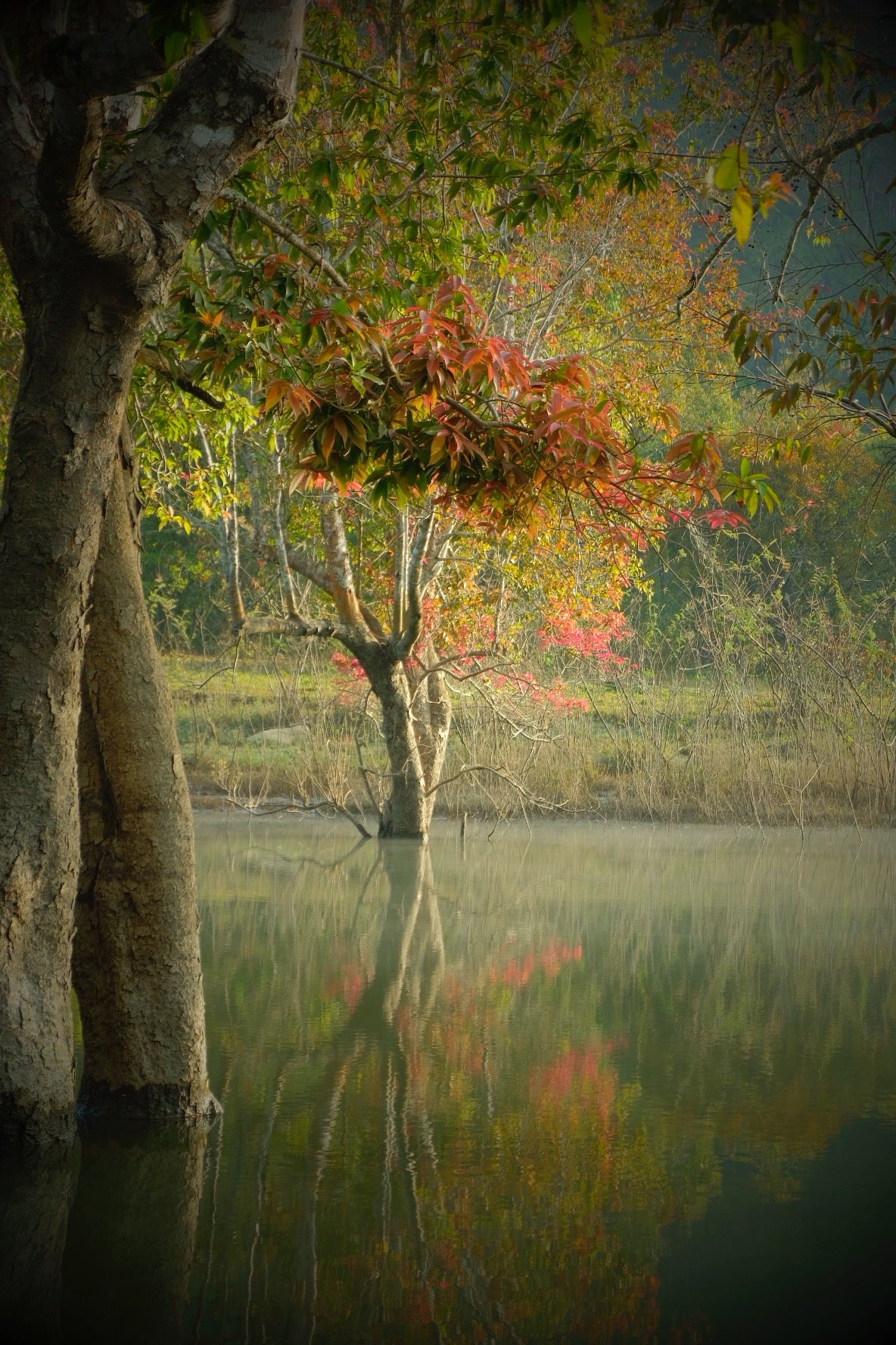 8B: (2 Days) Da Man Forest: Land of Fairy Tales In The Red Leaf Season