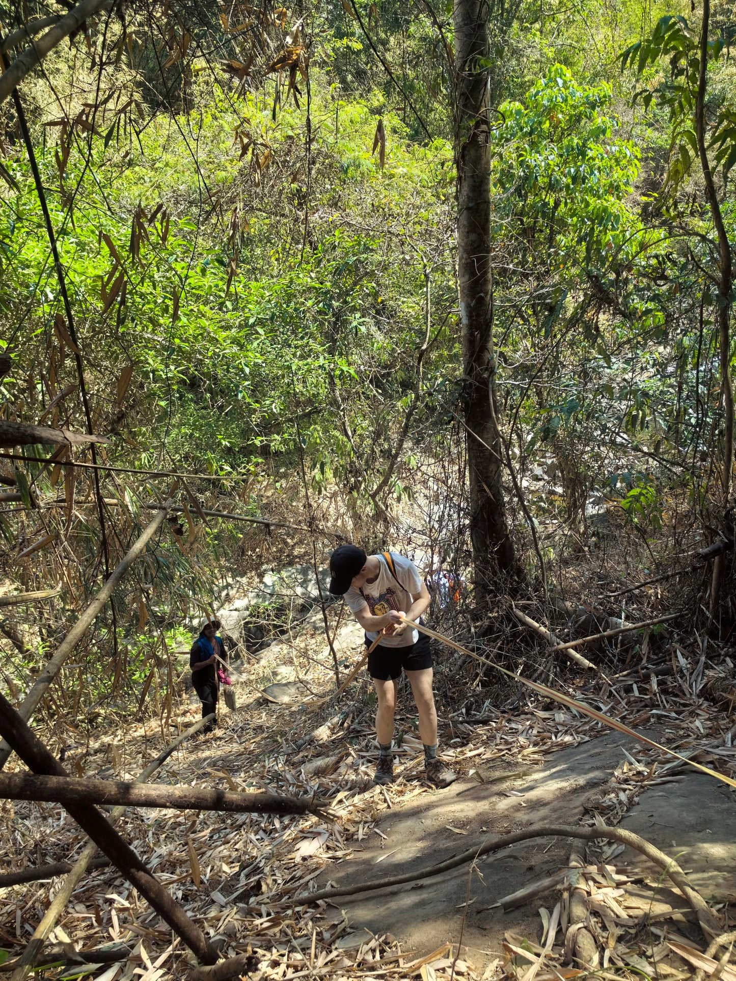 88A: Drizzling Rain Waterfall, Experience The Thrill Of Conquering The Wild