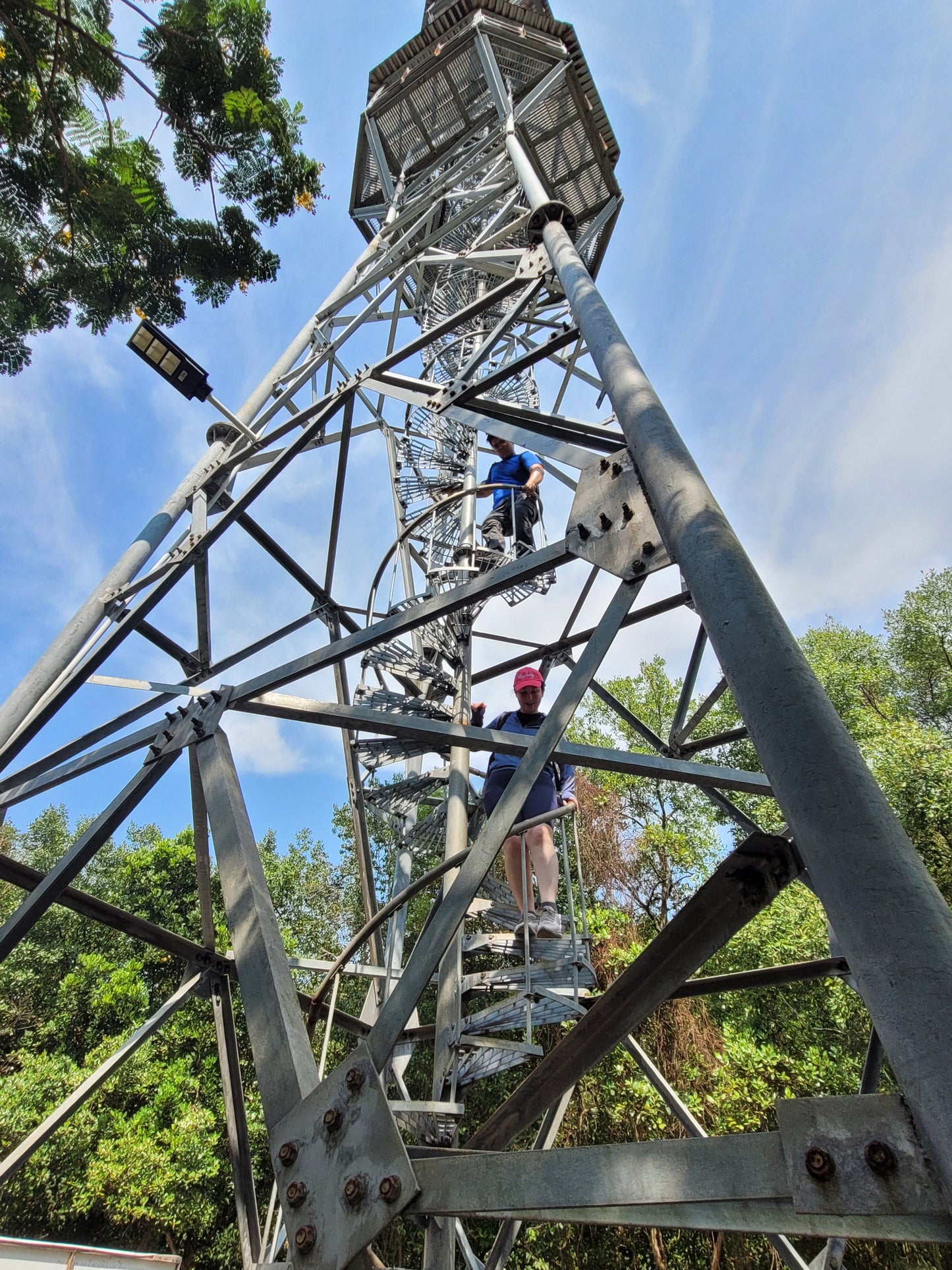 2A: Hike Can Gio Mangrove Forest! (UNESCO Nature Reserve)