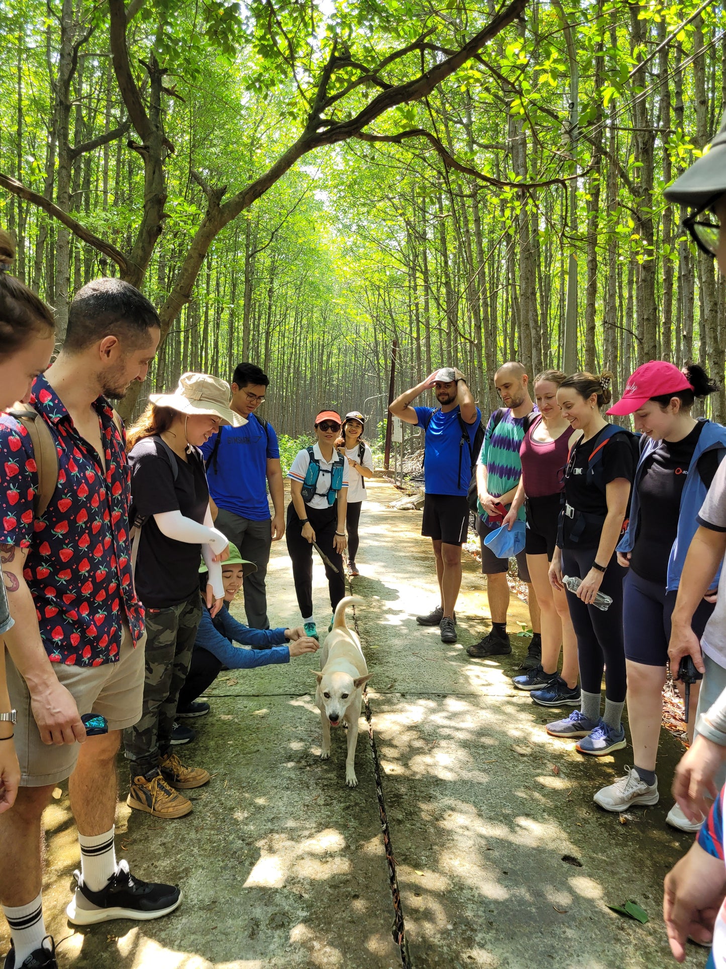 2A: Hike Can Gio Mangrove Forest! (UNESCO Nature Reserve)