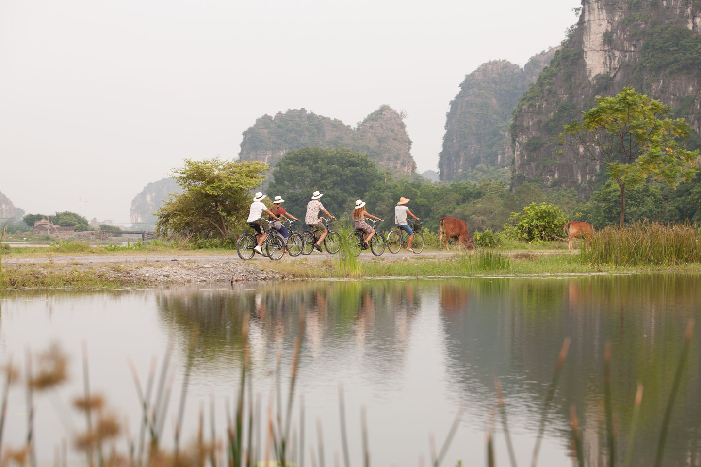 NHB1: Ninh Binh & HA LONG BAY (2 DAYS, 1 Night, In A Homestay)