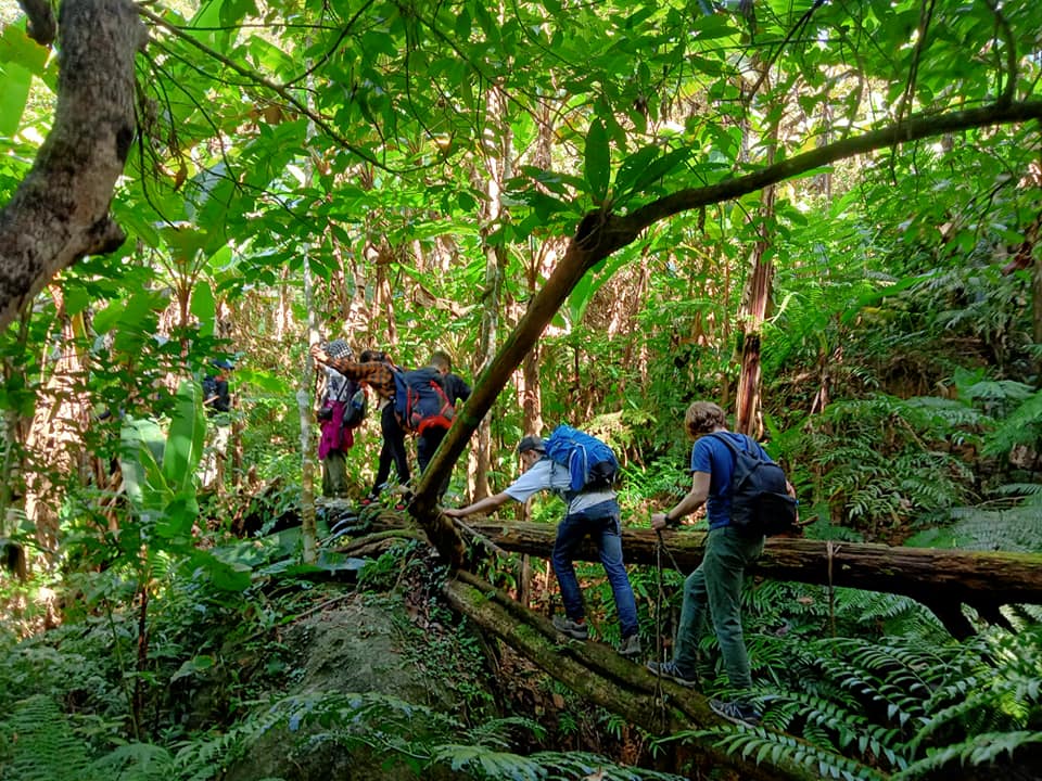 8B: (2 Days) Da Man Forest: Land of Fairy Tales In The Red Leaf Season