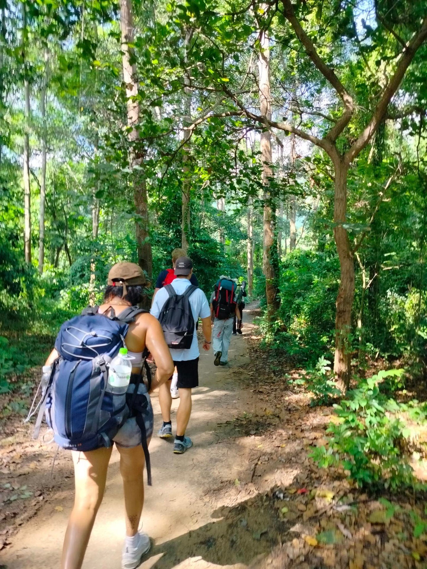 37B: (2 DAYS) Cam Mountain and Tra Su Cajuput: The Sacred Beauty Of The Majestic Mountains And Forests