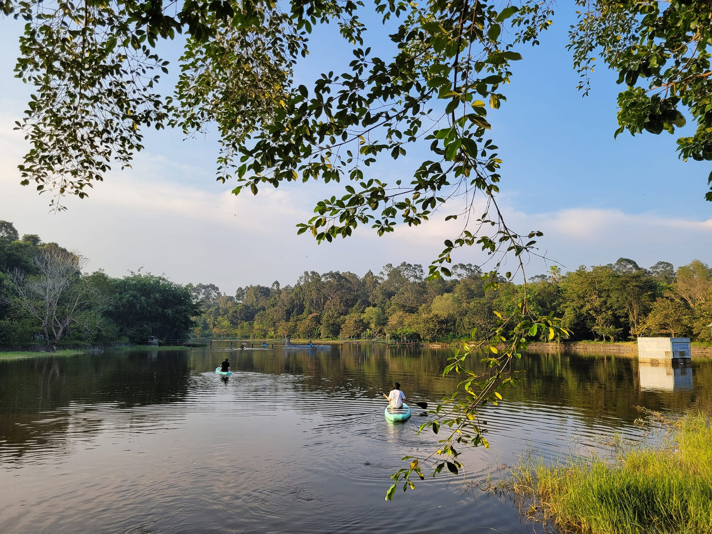 28A: Thác Mai jungle - Endless Grasslands To Wild.