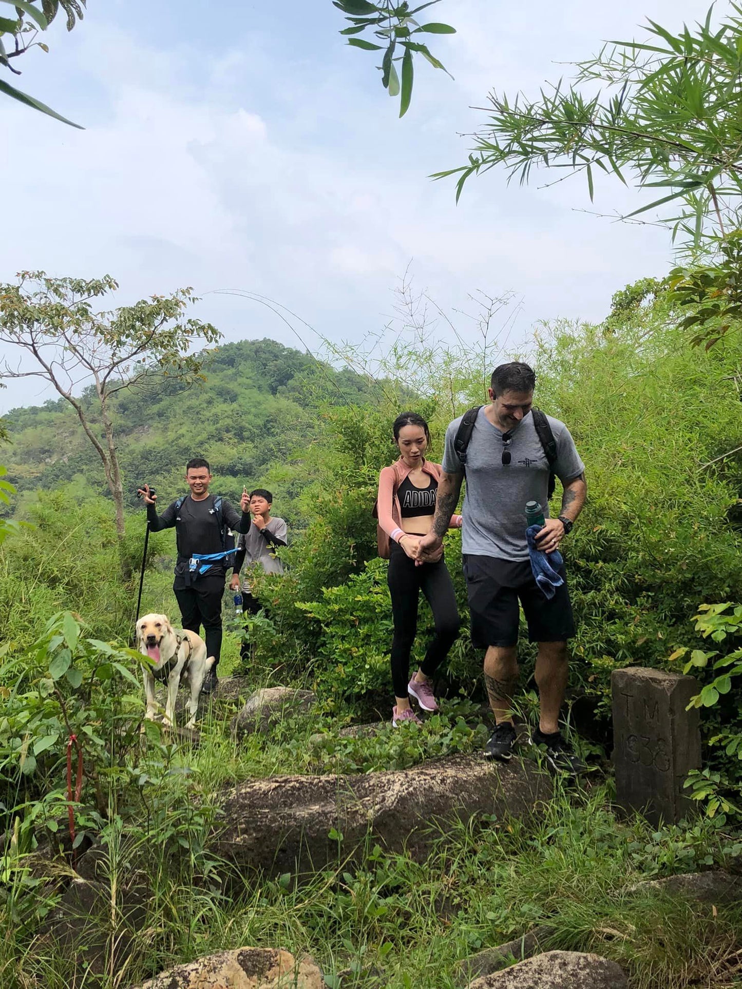 22A: Big Mountain: The Magnificent Green Beauty On The Coast