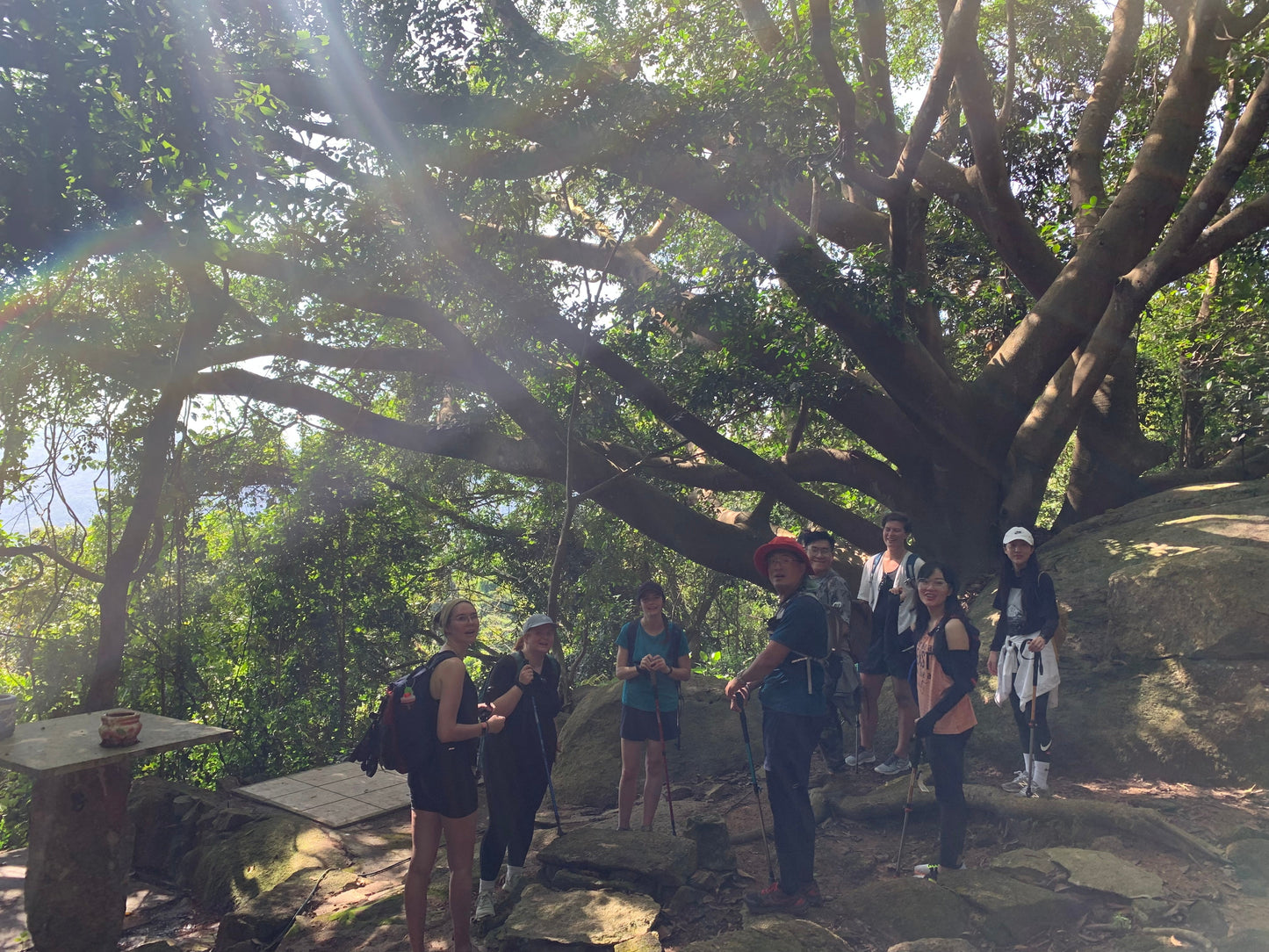 86A2: Hiking Two Peaks Amidst Bamboo Trails with Stunning Summit Views