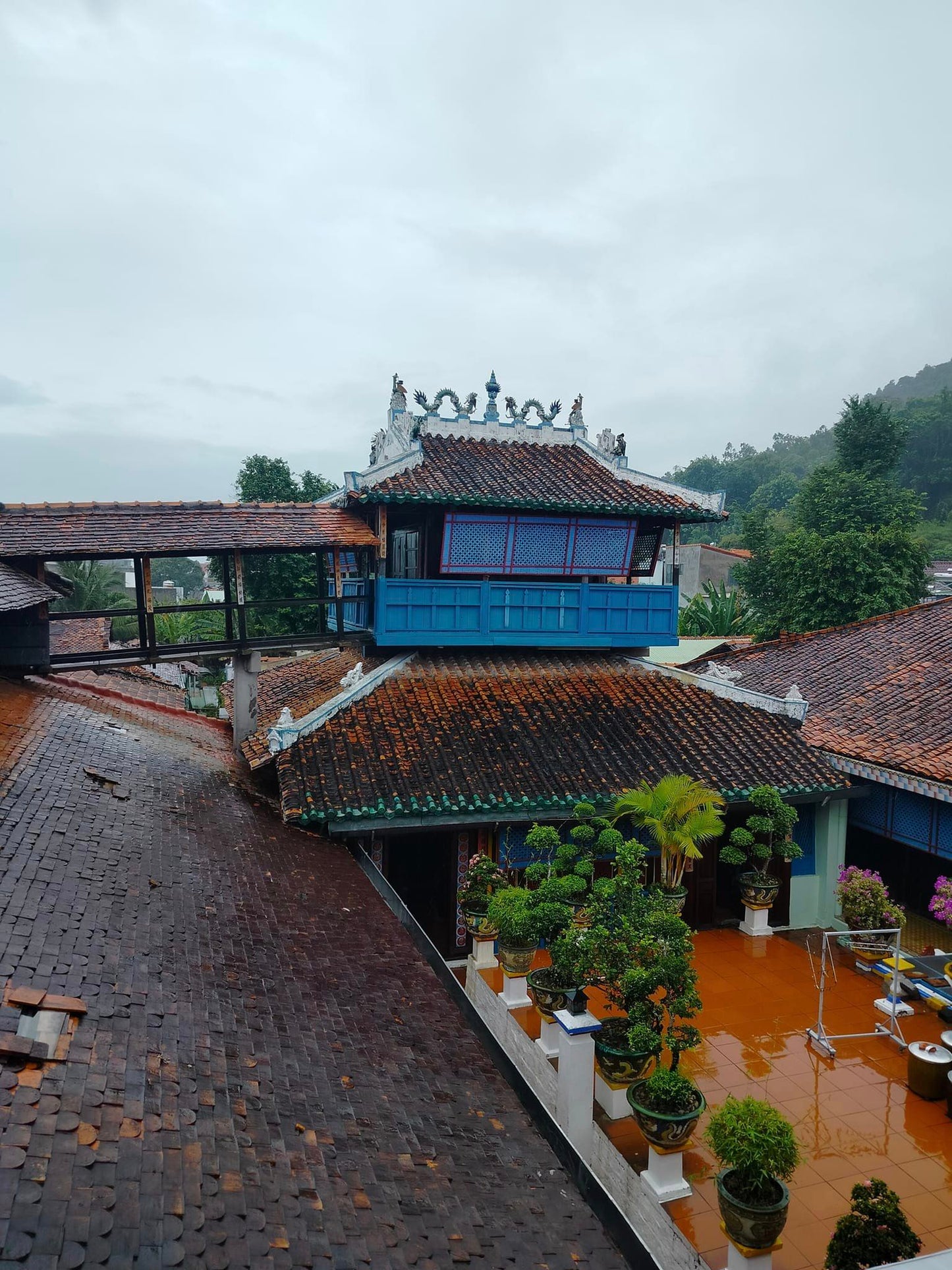 51A: Long Son Island, A Peaceful Fishing Village in Vũng Tàu