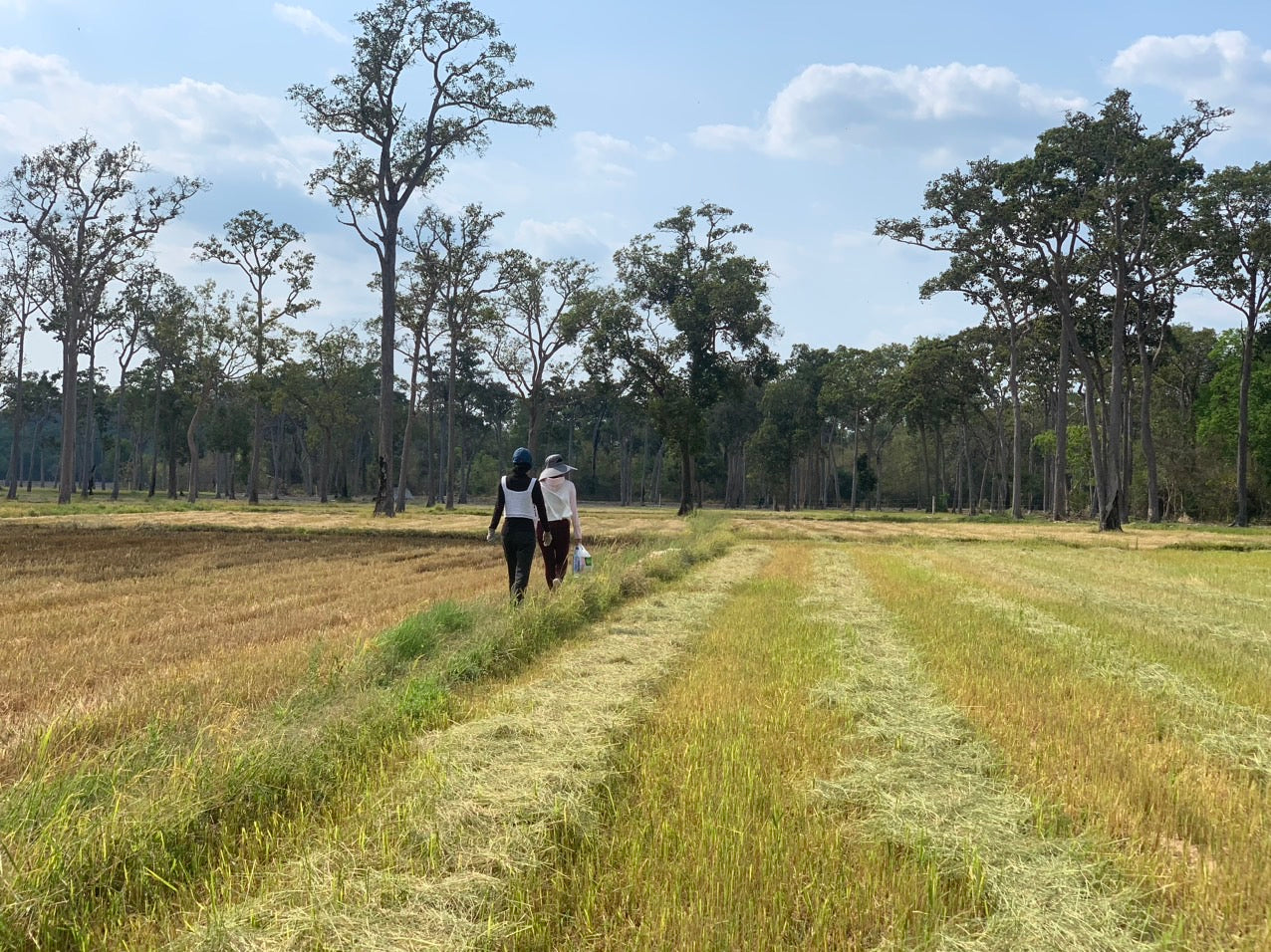 6B: (2 DAYS) Nam Cat Tien National Park, and Ta Lai village.