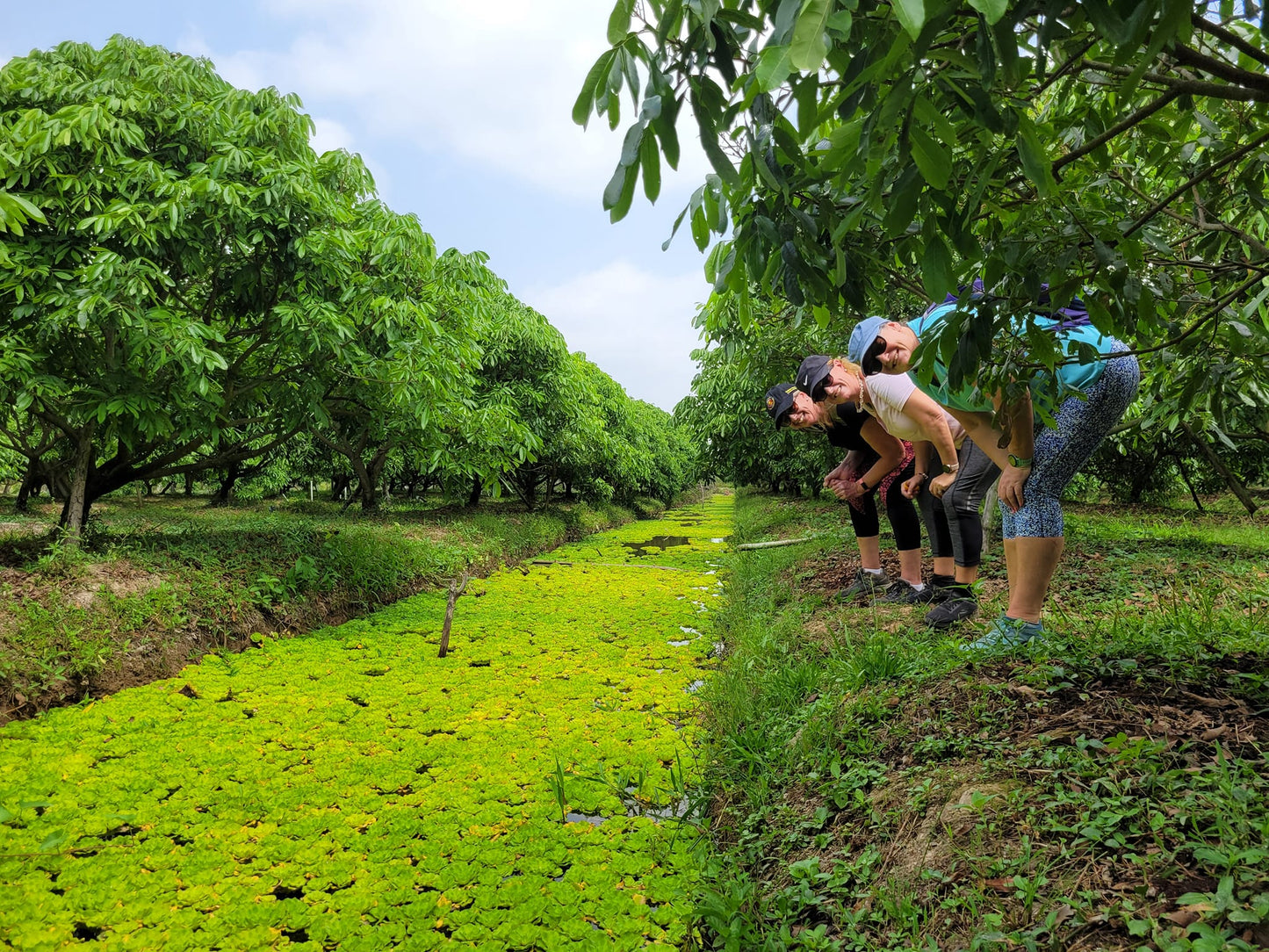 35R: Mekong Delta: Stepping Into The 'Red Kingdom' of the Pottery Village