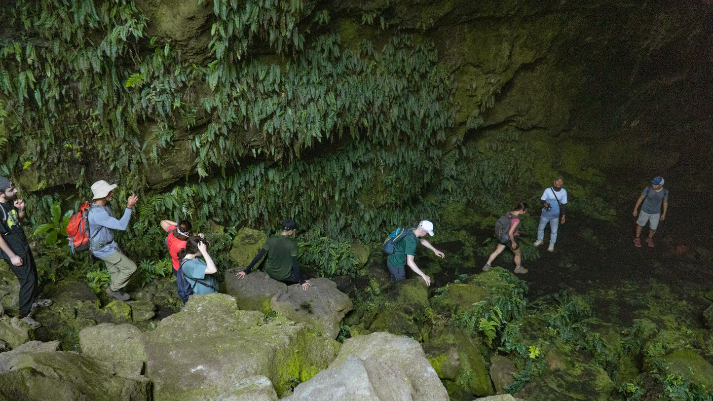 26D: (4 DAYS) Dak Nong Province: Volcanic Ascent, Majestic Waterscapes, Viewpoints and Hikes