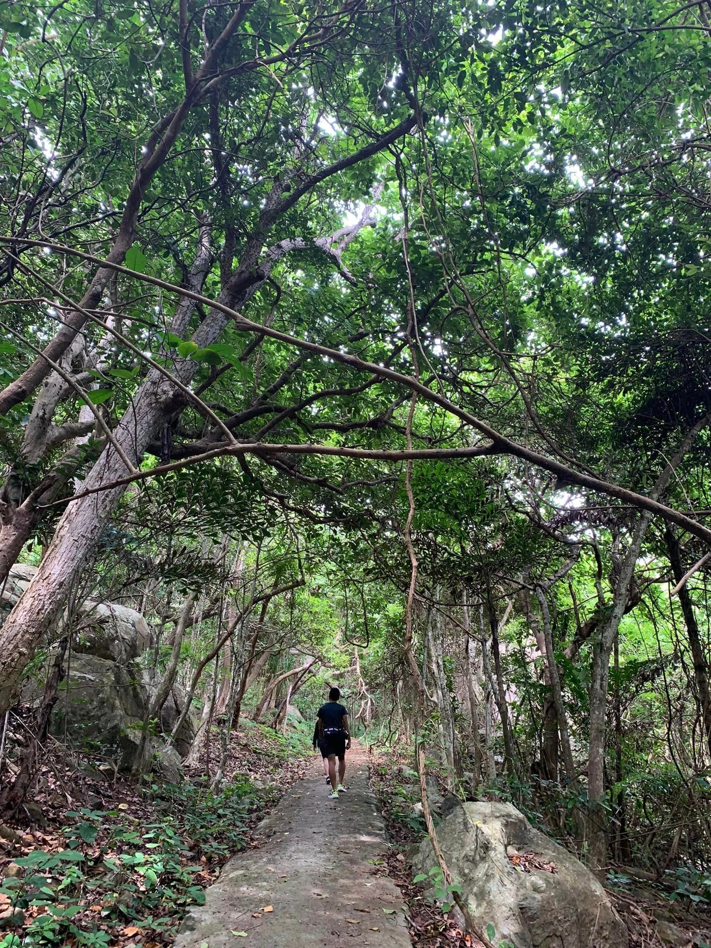 73B: (2 Days) Con Dao Island: An Emerald Gem With The Infamous Prison Site