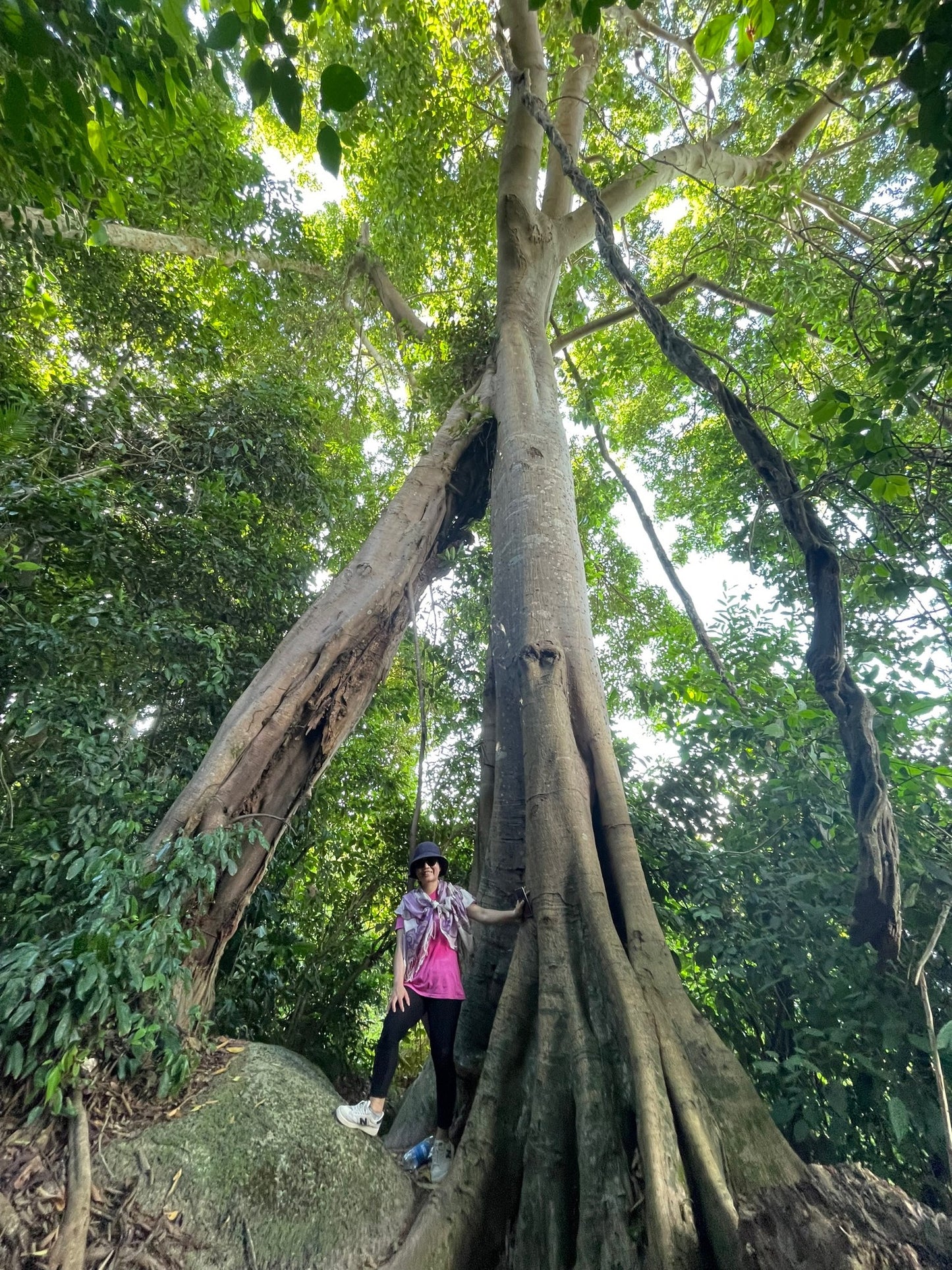 SA2D: (4 DAYS) Penang, Malaysia: Heritage Trails, Mountain Escapades, and Beach Retreat