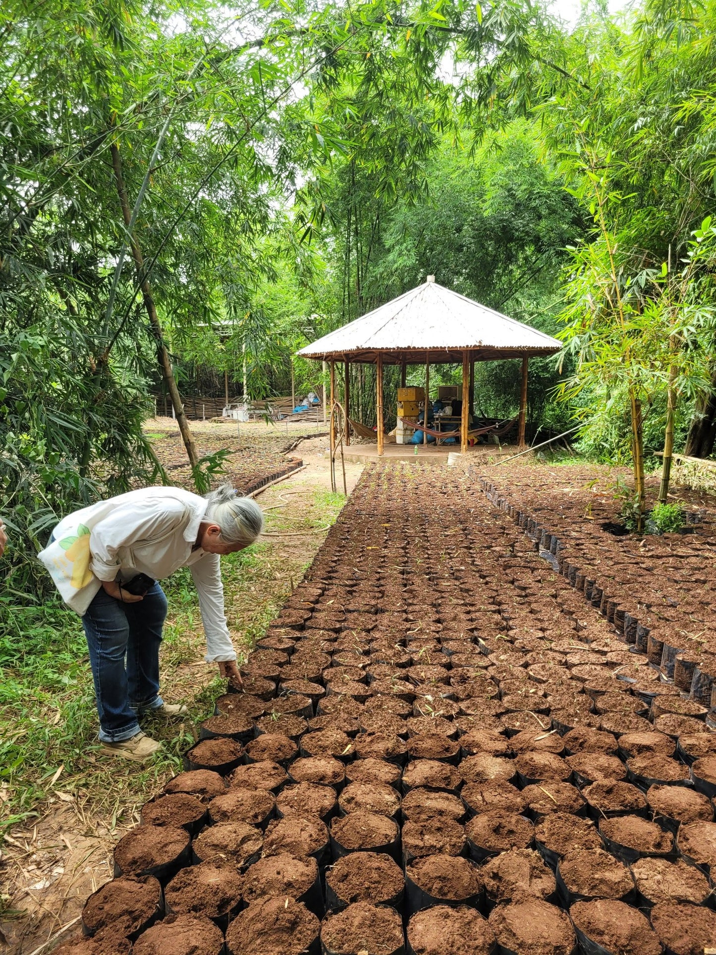 75A: Bamboo Village: Lost In The Peaceful Countryside