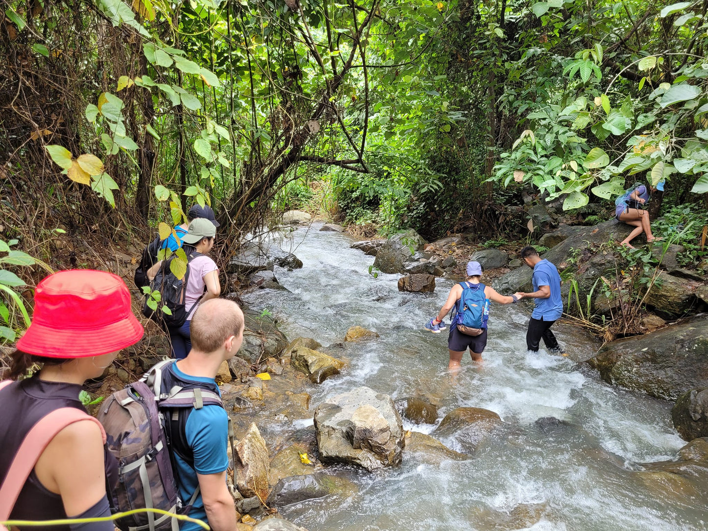 74B: (2 DAYS) Madagui Adventure: Discovering Mysterious Forests