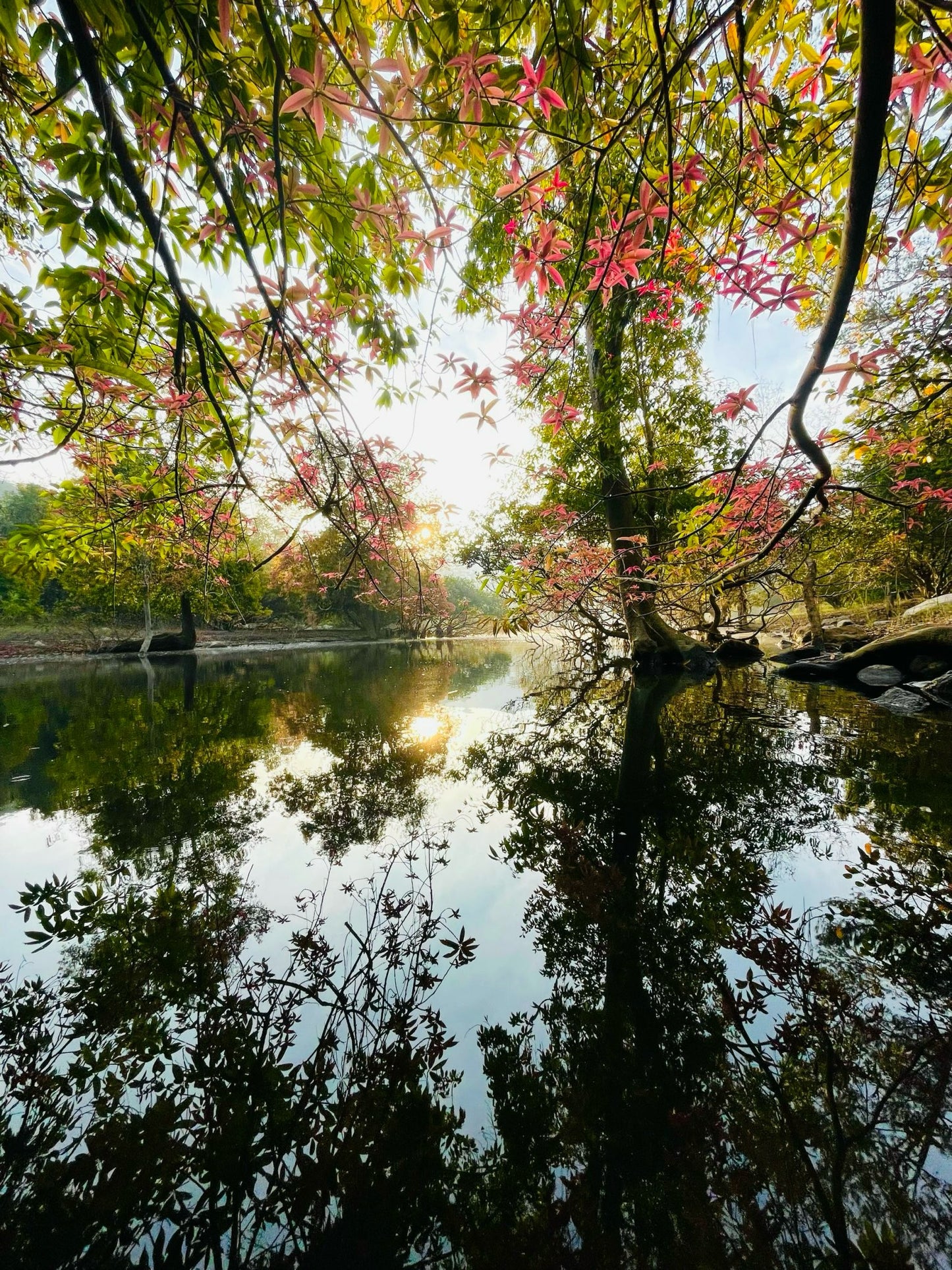 8B: (2 Days) Da Man Forest: Land of Fairy Tales In The Red Leaf Season