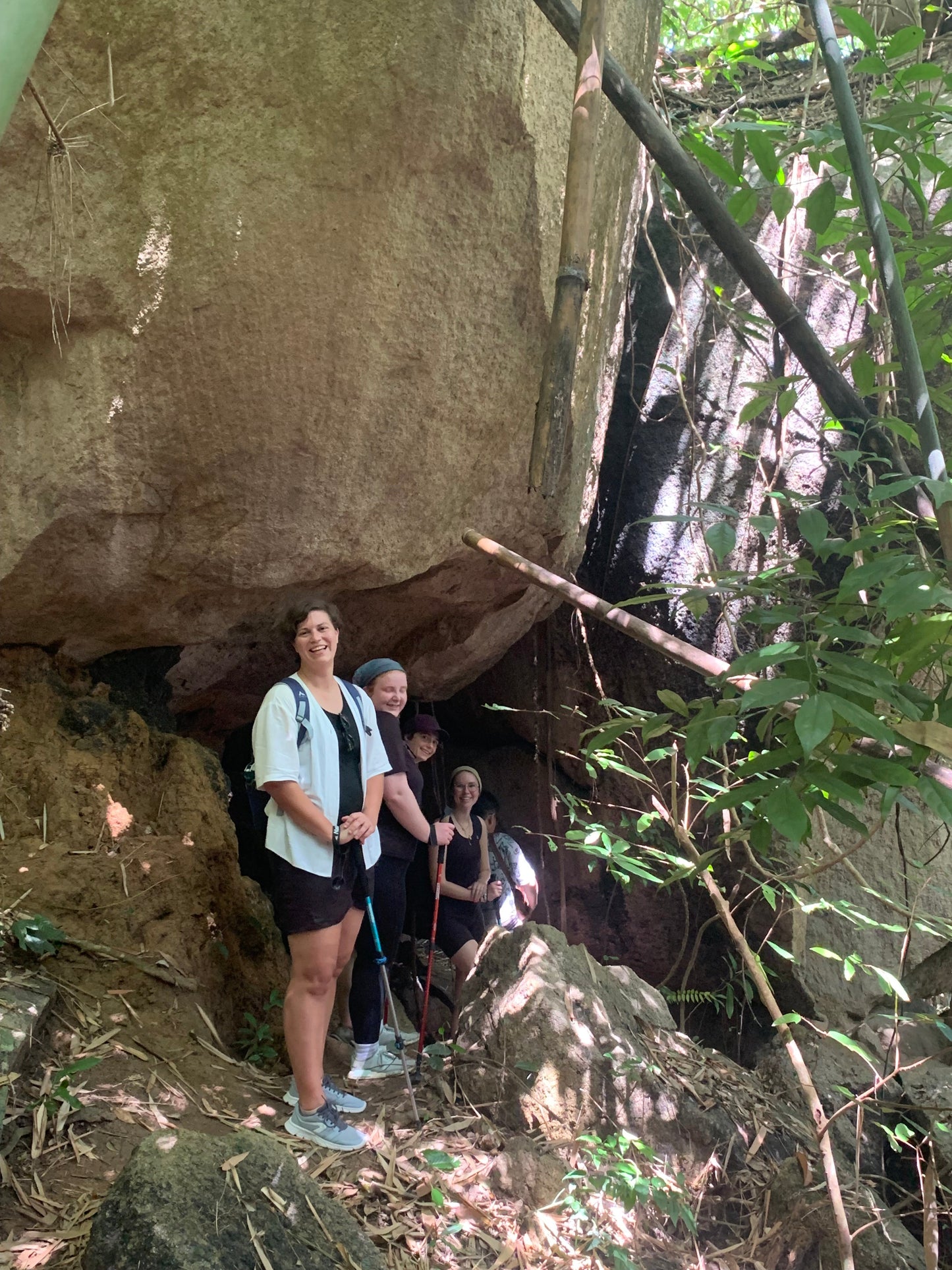 86A2: Hiking Two Peaks Amidst Bamboo Trails with Stunning Summit Views