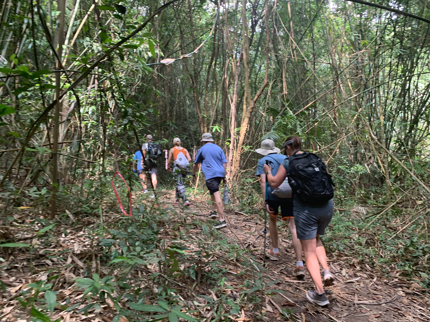 7B: (2 DAYS) Dinh Mountain: Go Gang Island, The Journey Through The Forest