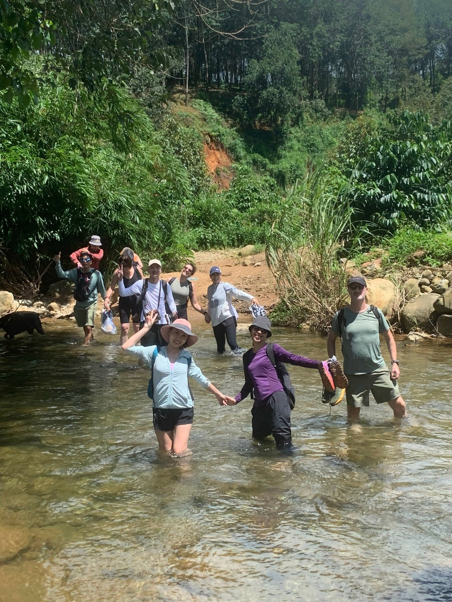 58A: Buffalo Head Waterfalls, The Hidden Gem In The Deep Forest