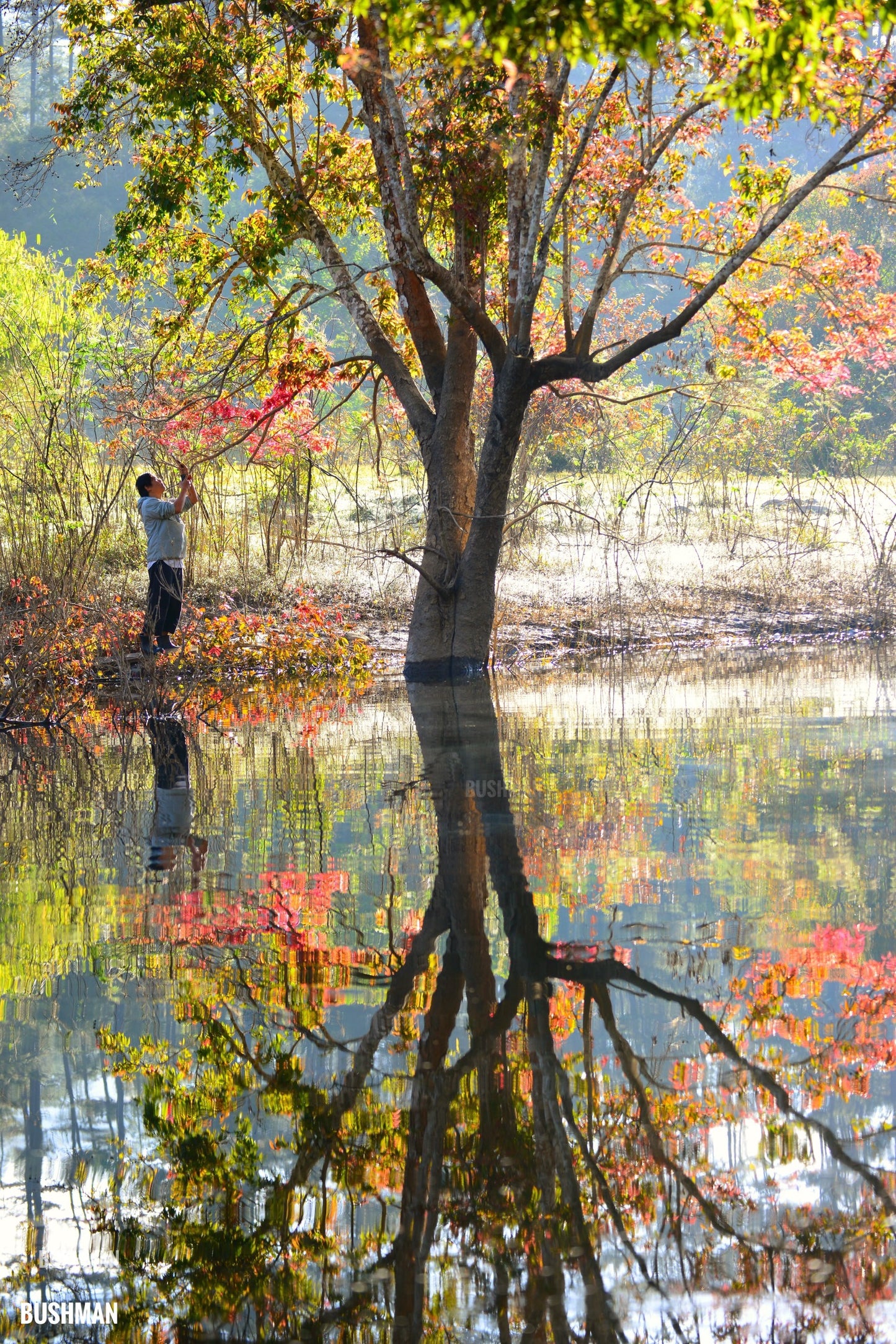 8B: (2 Days) Da Man Forest: Land of Fairy Tales In The Red Leaf Season