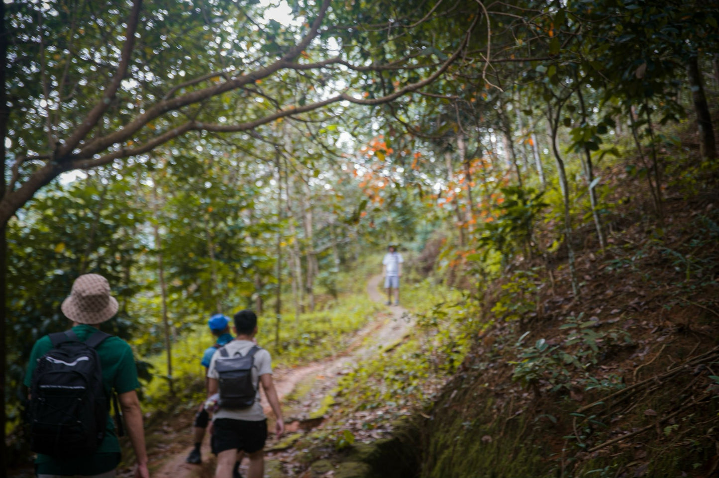 88A: Drizzling Rain Waterfall, Experience The Thrill Of Conquering The Wild