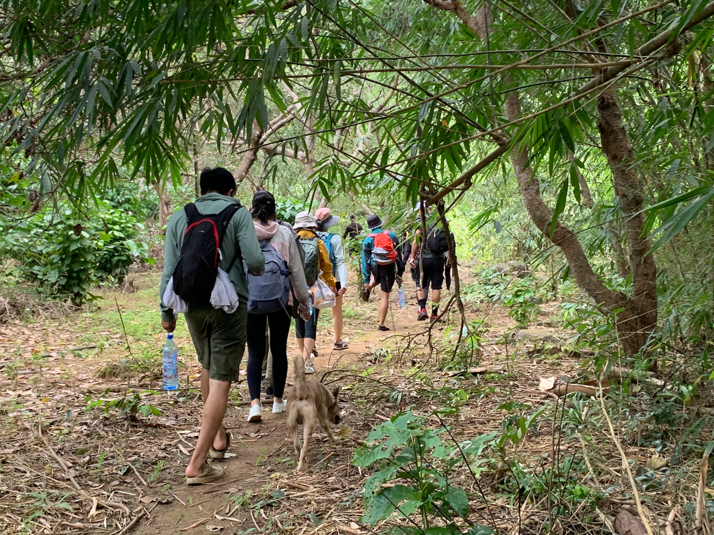 74BC (1,5 days): Madagui Camping: Discovering Mysterious Forests