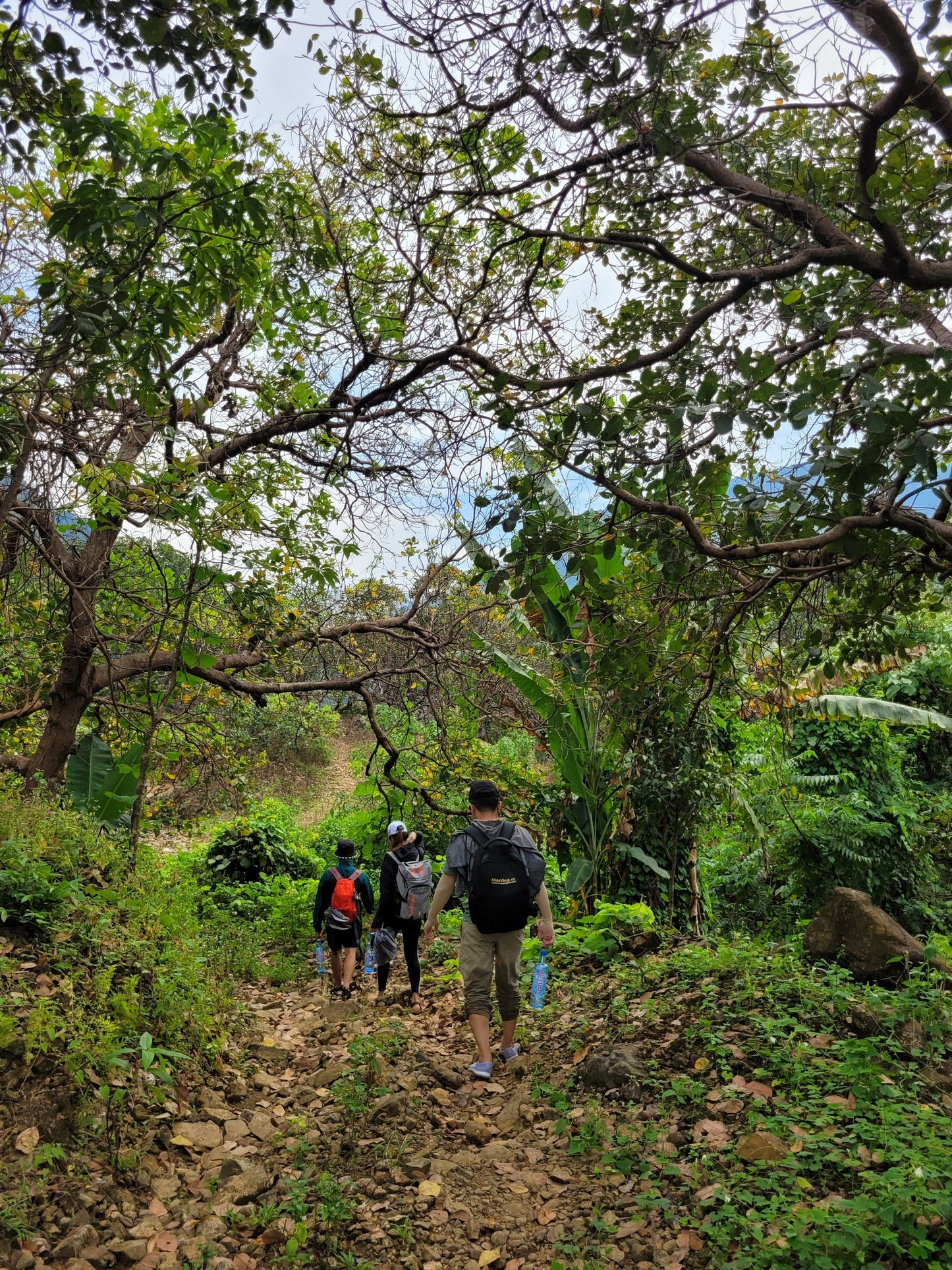 74B: (2 DAYS) Madagui Adventure: Discovering Mysterious Forests