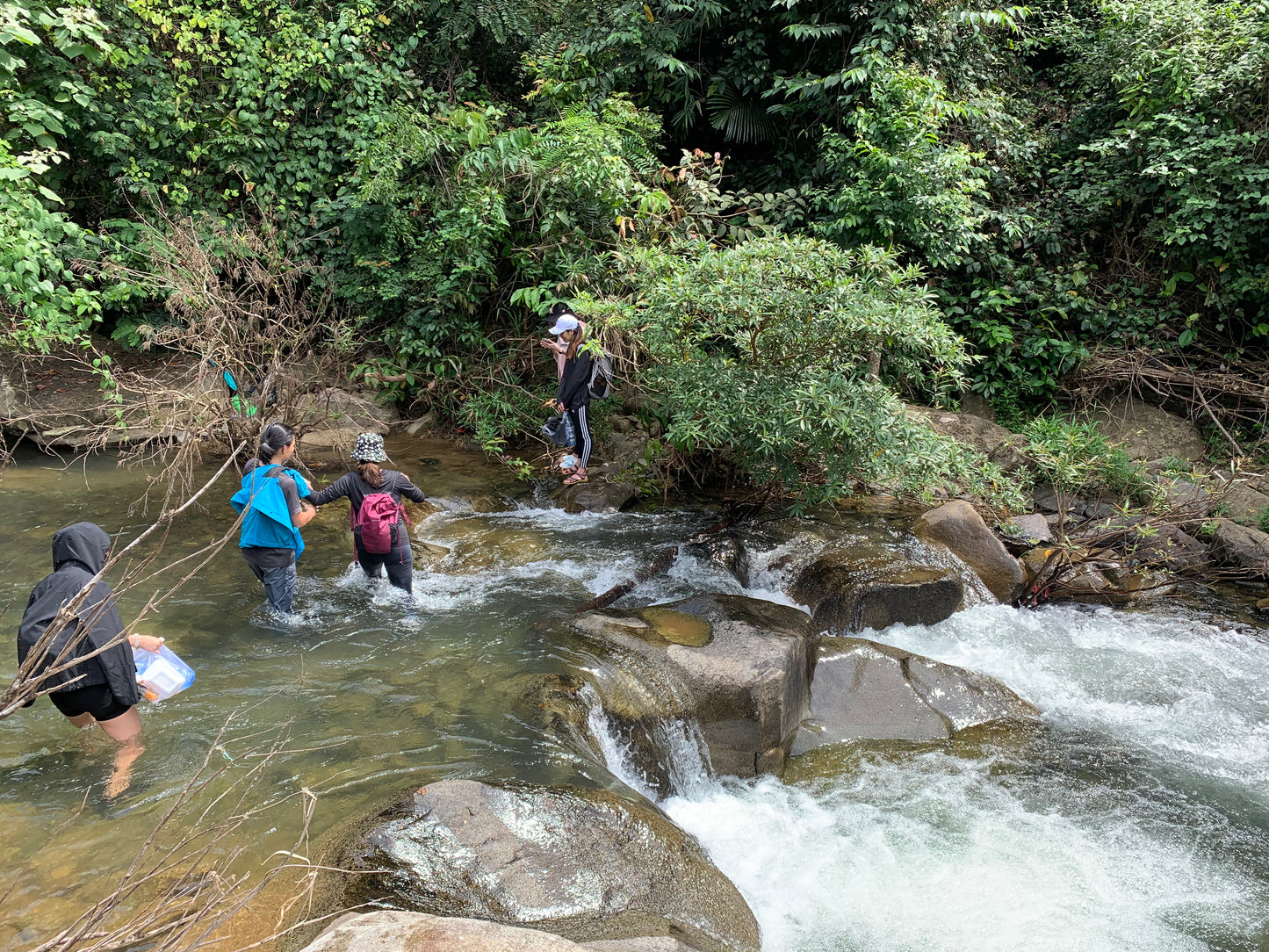 74BC (1,5 days): Madagui Camping: Discovering Mysterious Forests
