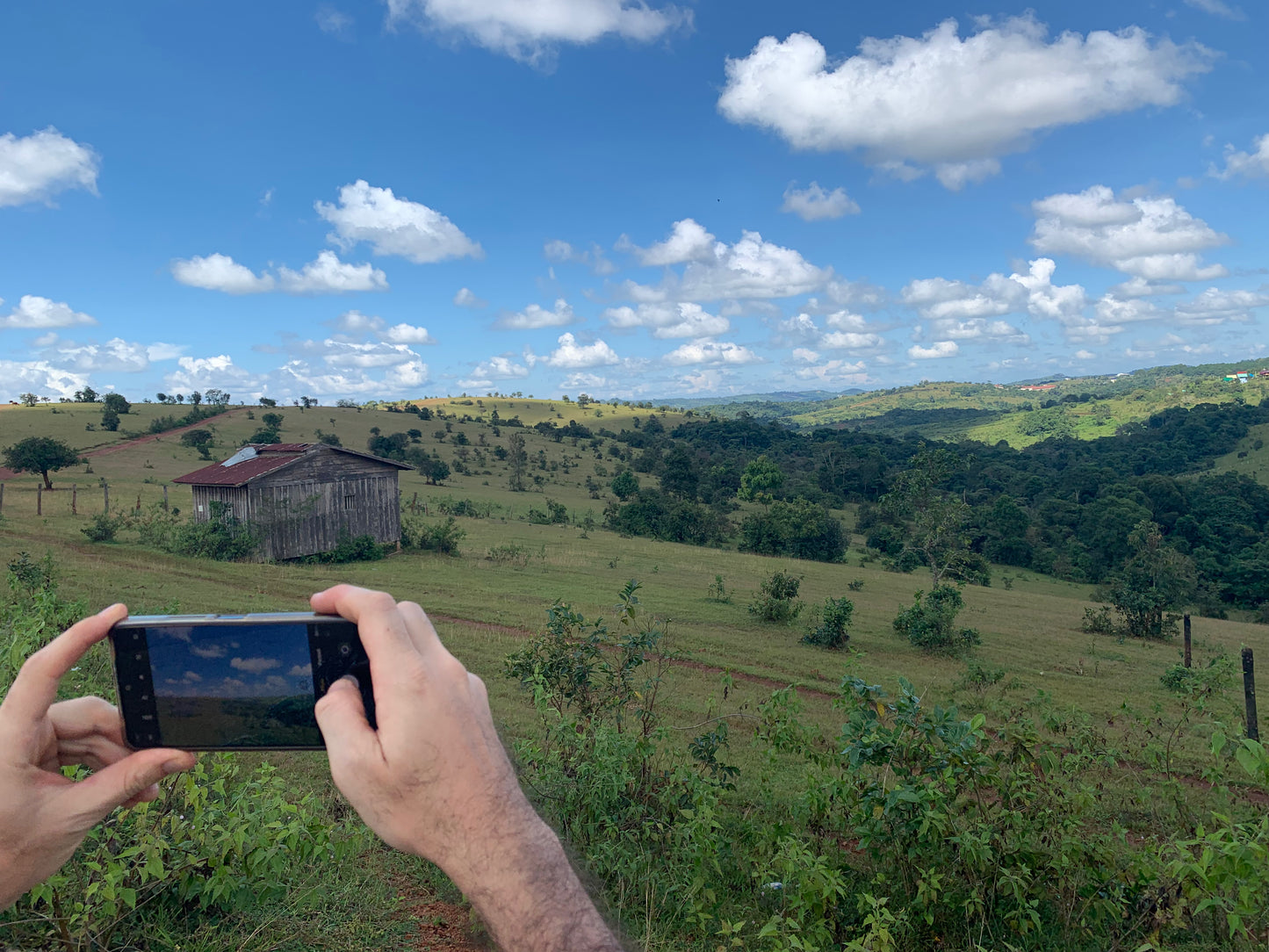 A3C (3 DAYS): Mondulkiri, Endless Green Meadows in Cambodia