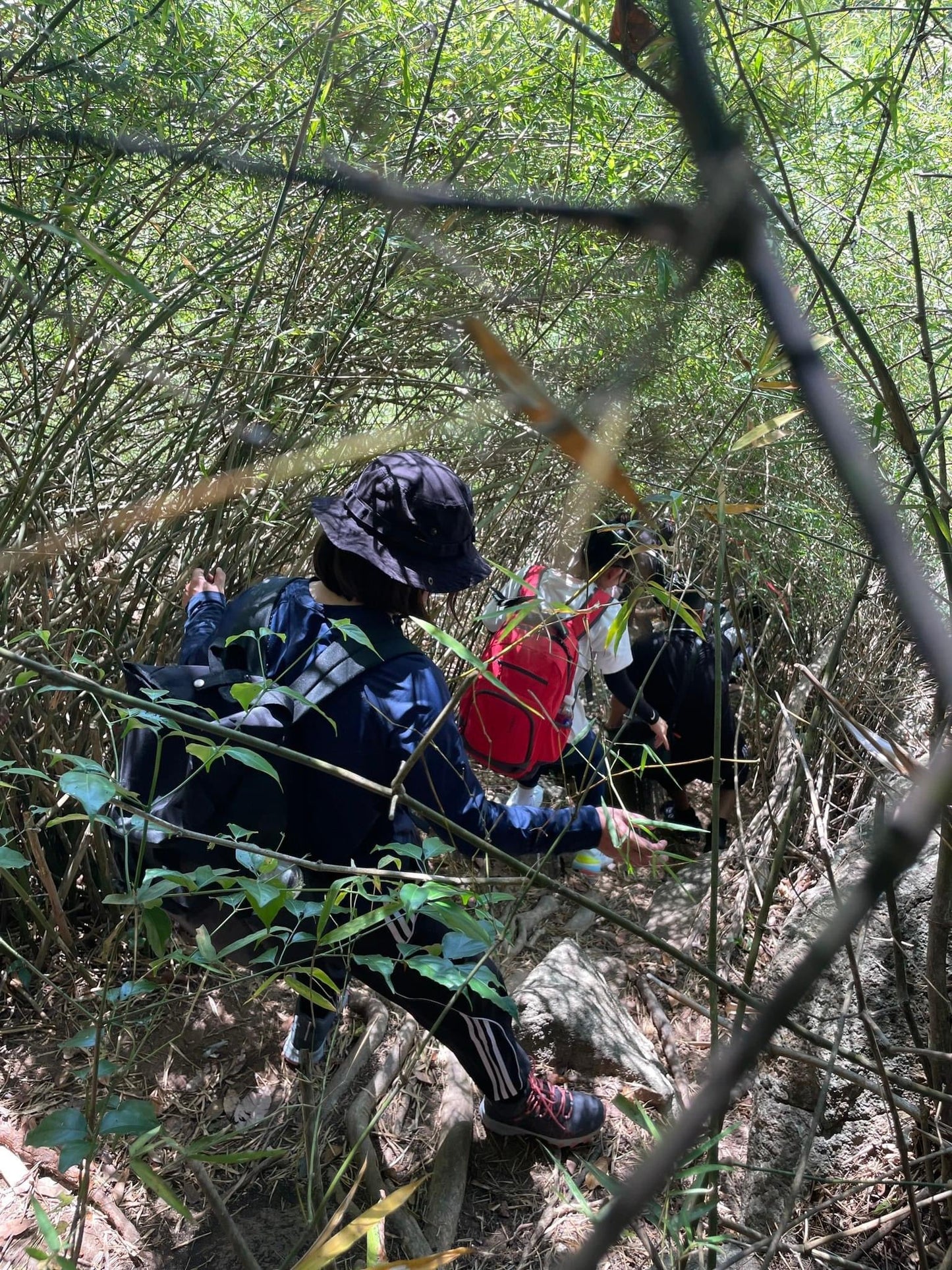 (Basic tour) 14AB: Phuoc Buu Jungle (Nature Reserve): Coastal Trailblazers Discovering The Untamed Beauty Of Binh Chau