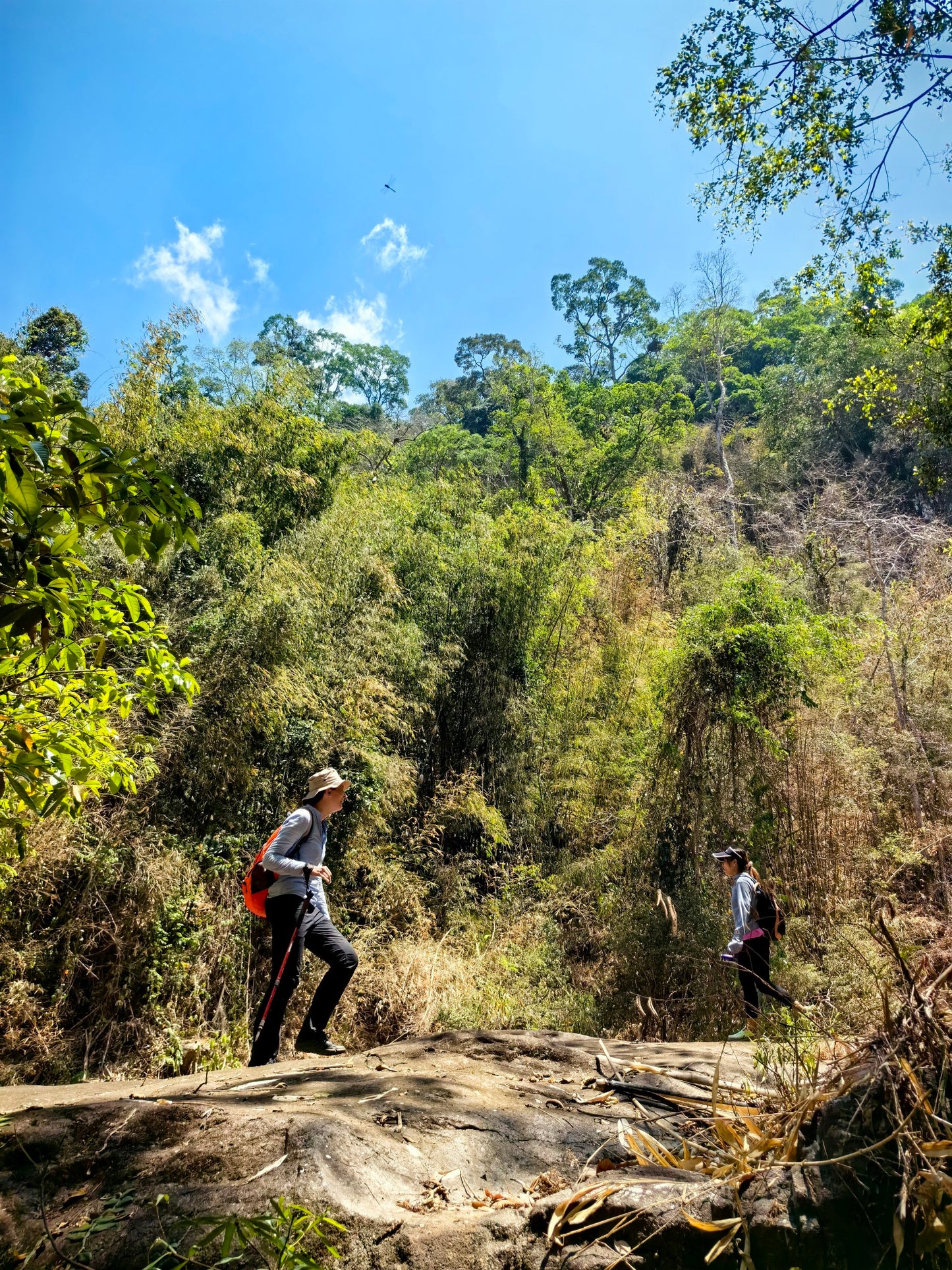 88A: Drizzling Rain Waterfall, Experience The Thrill Of Conquering The Wild