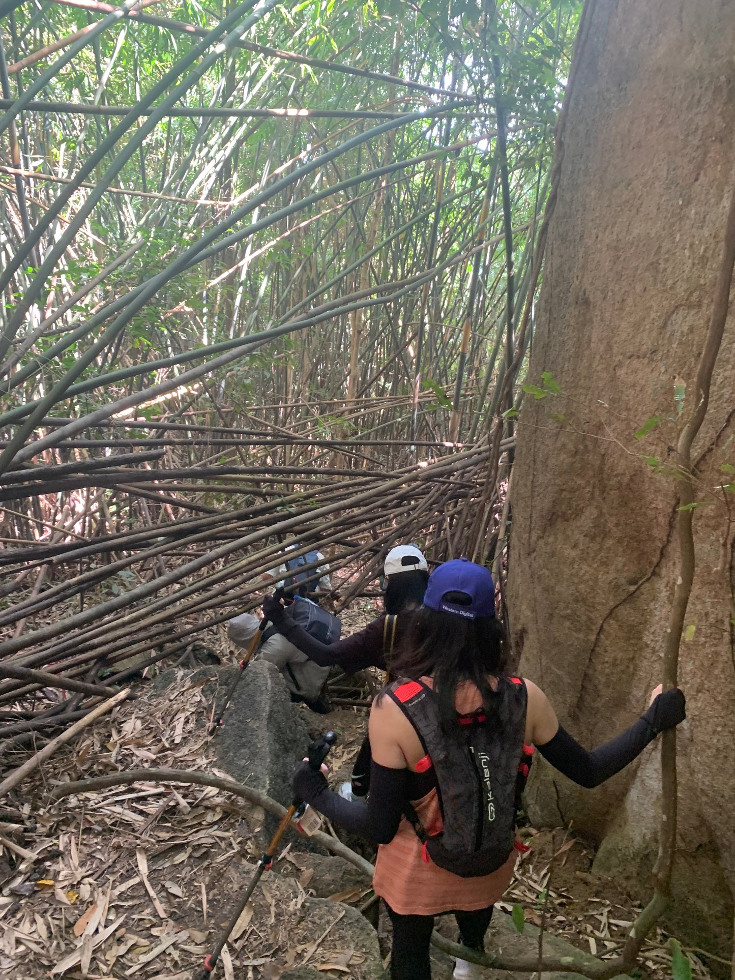 86A: Tóc Tiên Mountain, Bamboo Trails To Panoramic Viewpoint