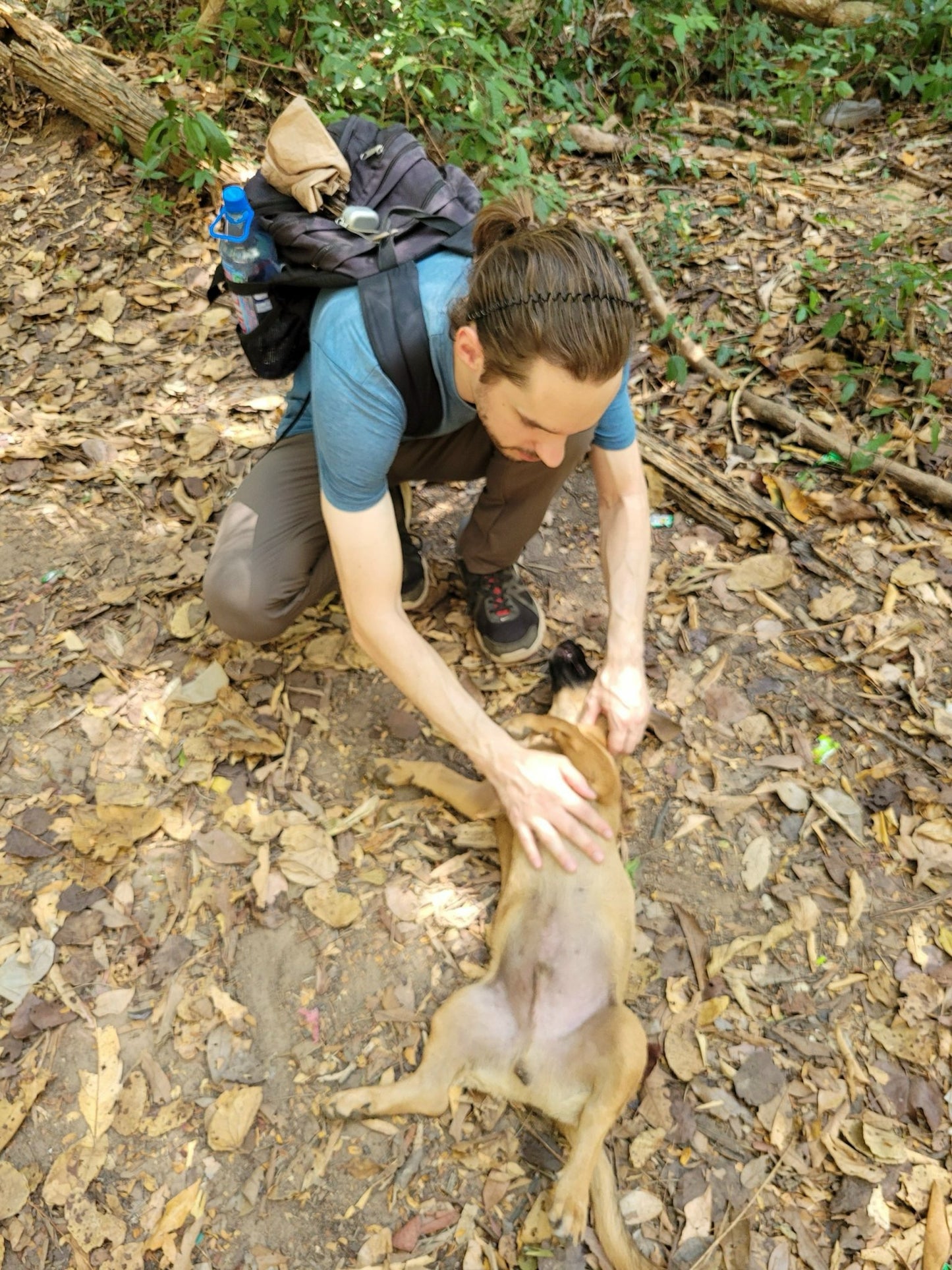 31A: Binh Chau Nature Reserve: Virgin Tropical Habitats