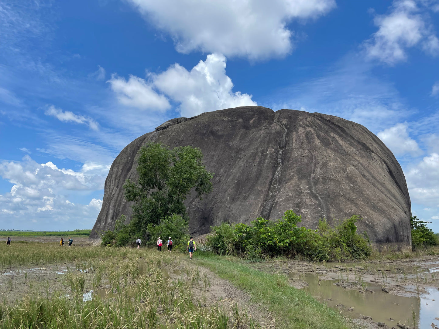 47A: Phu Dien: Boundless Green Rice Fields And The Fascinating Stone Mountain