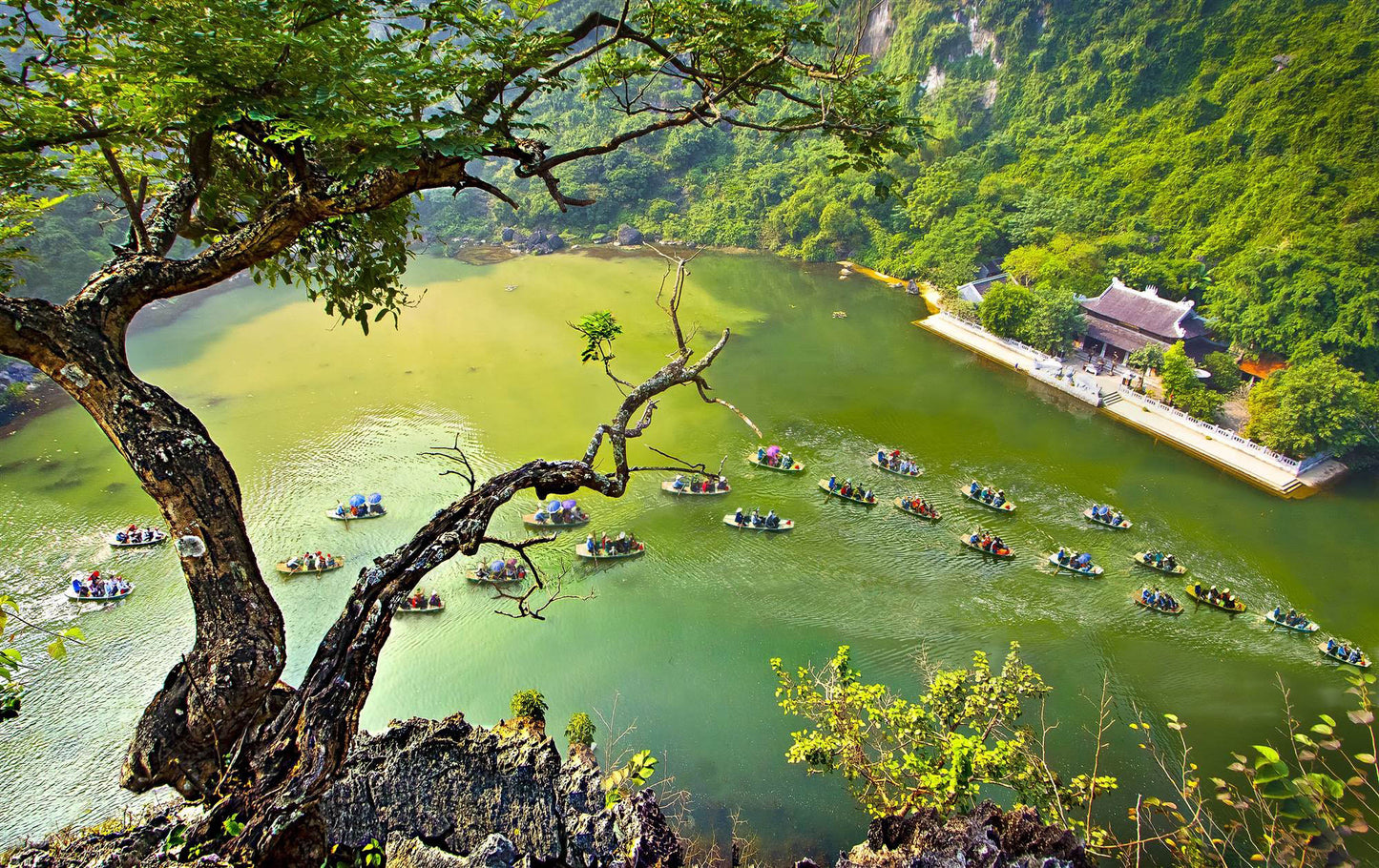 NHB3: Ninh Binh & HA LONG BAY (2 DAYS, 1 Night @ 4-Star Hotel)