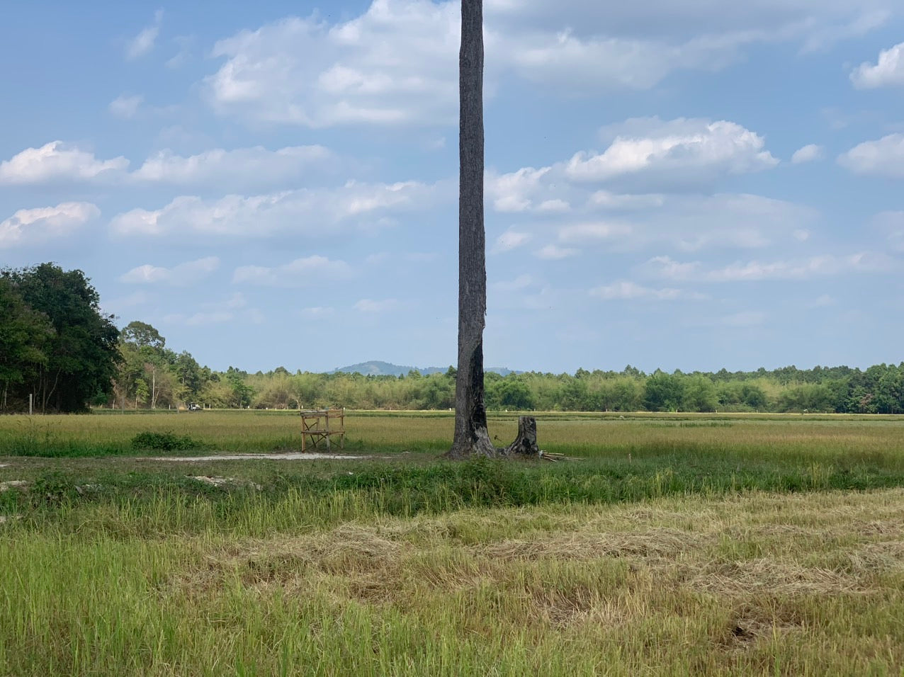 91A: Full-Day Tour, Ta Lai Village: Journey Through Time, Elephant Trails And Cultural Exploration Of The Ma People