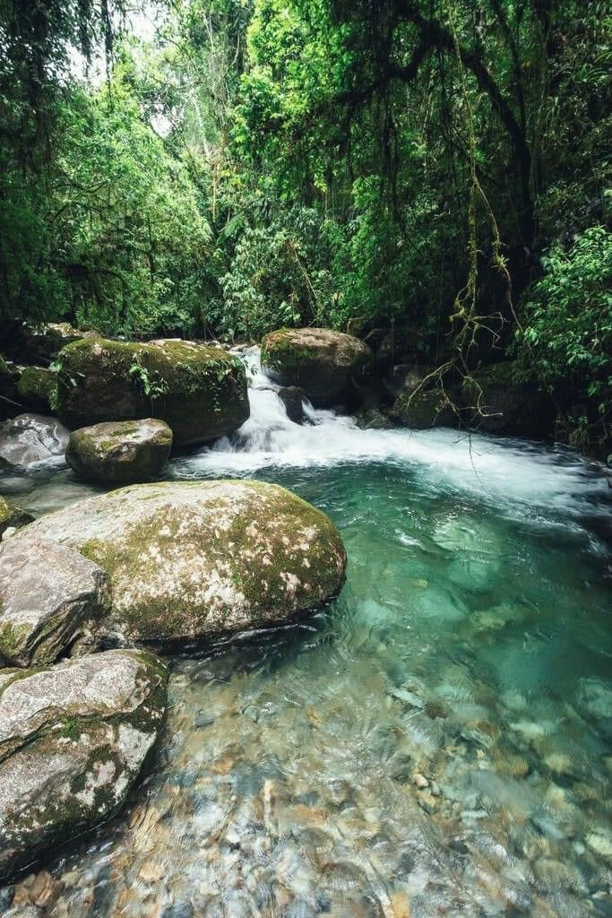 88A: Drizzling Rain Waterfall, Experience The Thrill Of Conquering The Wild
