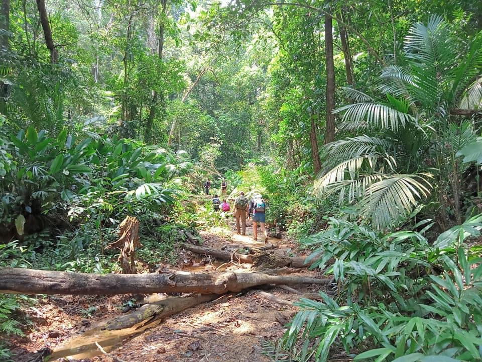 25B: (2 DAYS) K50 Waterfalls - Majestic Beauty Amidst The Pristine Kon Chu Rang Forest