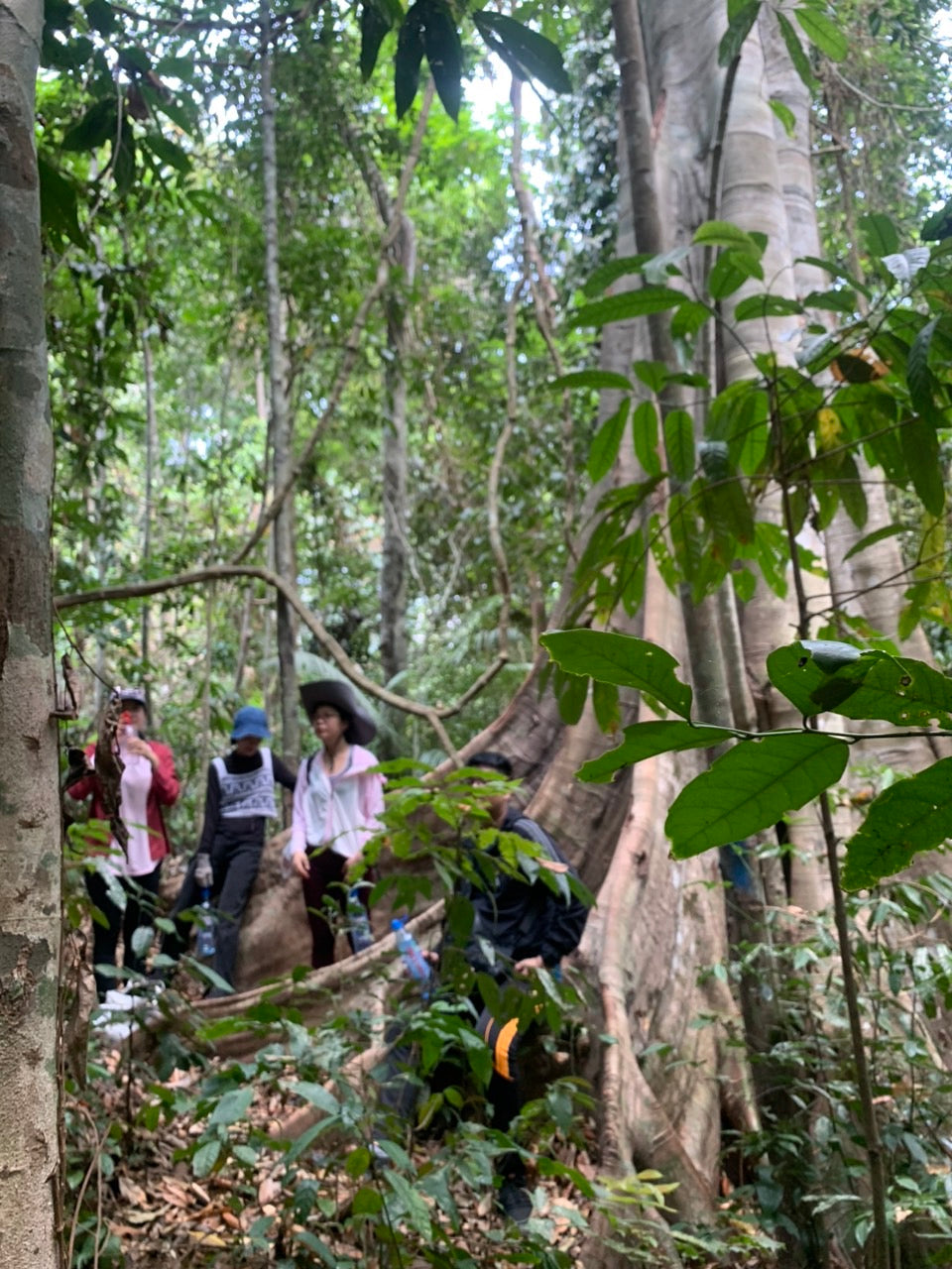 91A: Full-Day Tour, Ta Lai Village: Journey Through Time, Elephant Trails And Cultural Exploration Of The Ma People