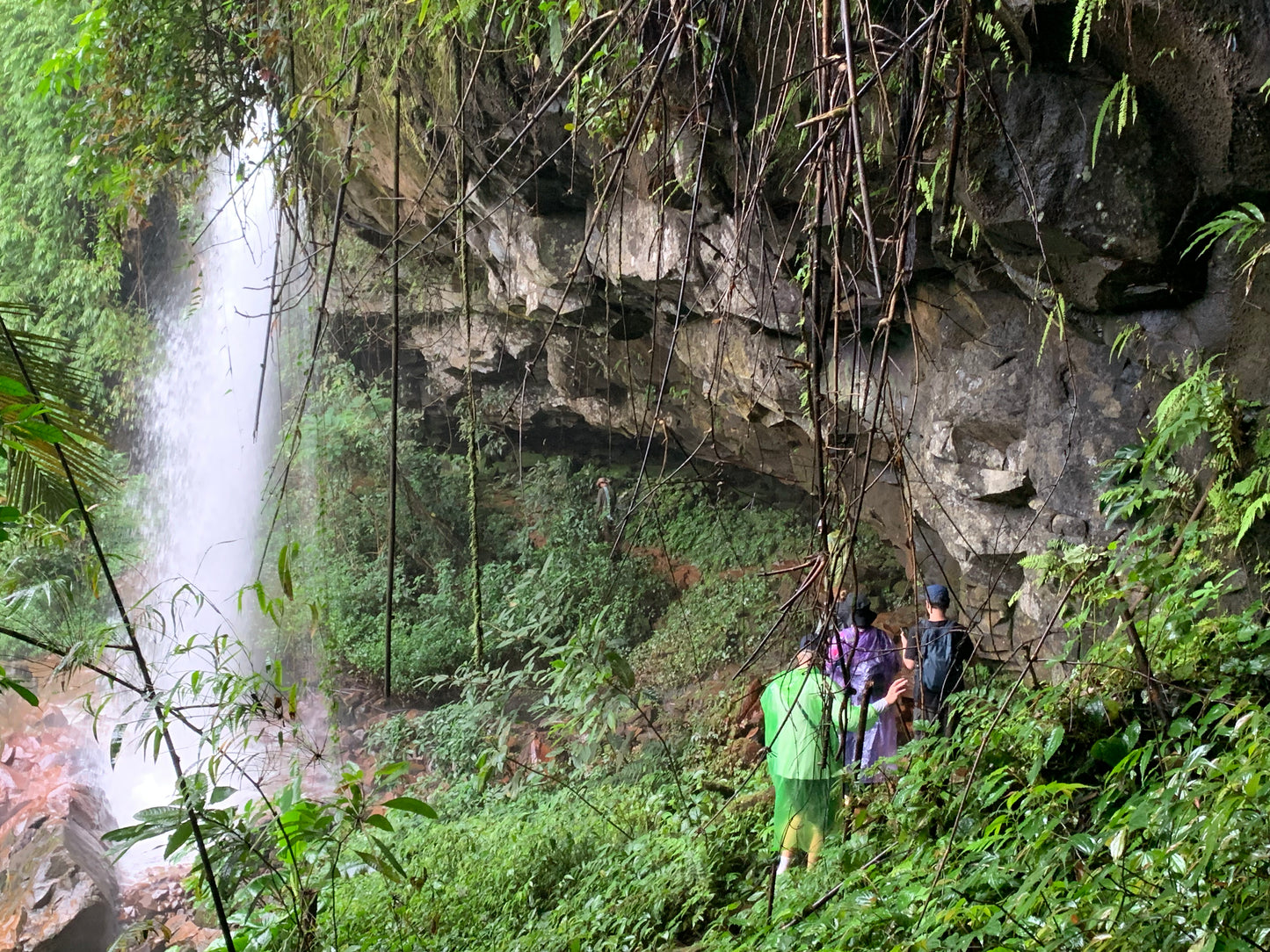 A3C (3 DAYS): Mondulkiri, Endless Green Meadows in Cambodia