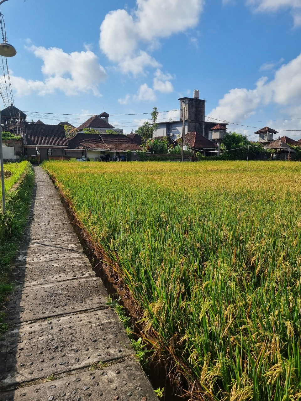 A8C: (3 DAYS) Bali Adventure! Nature's Wonders Call With Majestic Volcanic Peaks, Beach Treasures And Sacred Water Temple