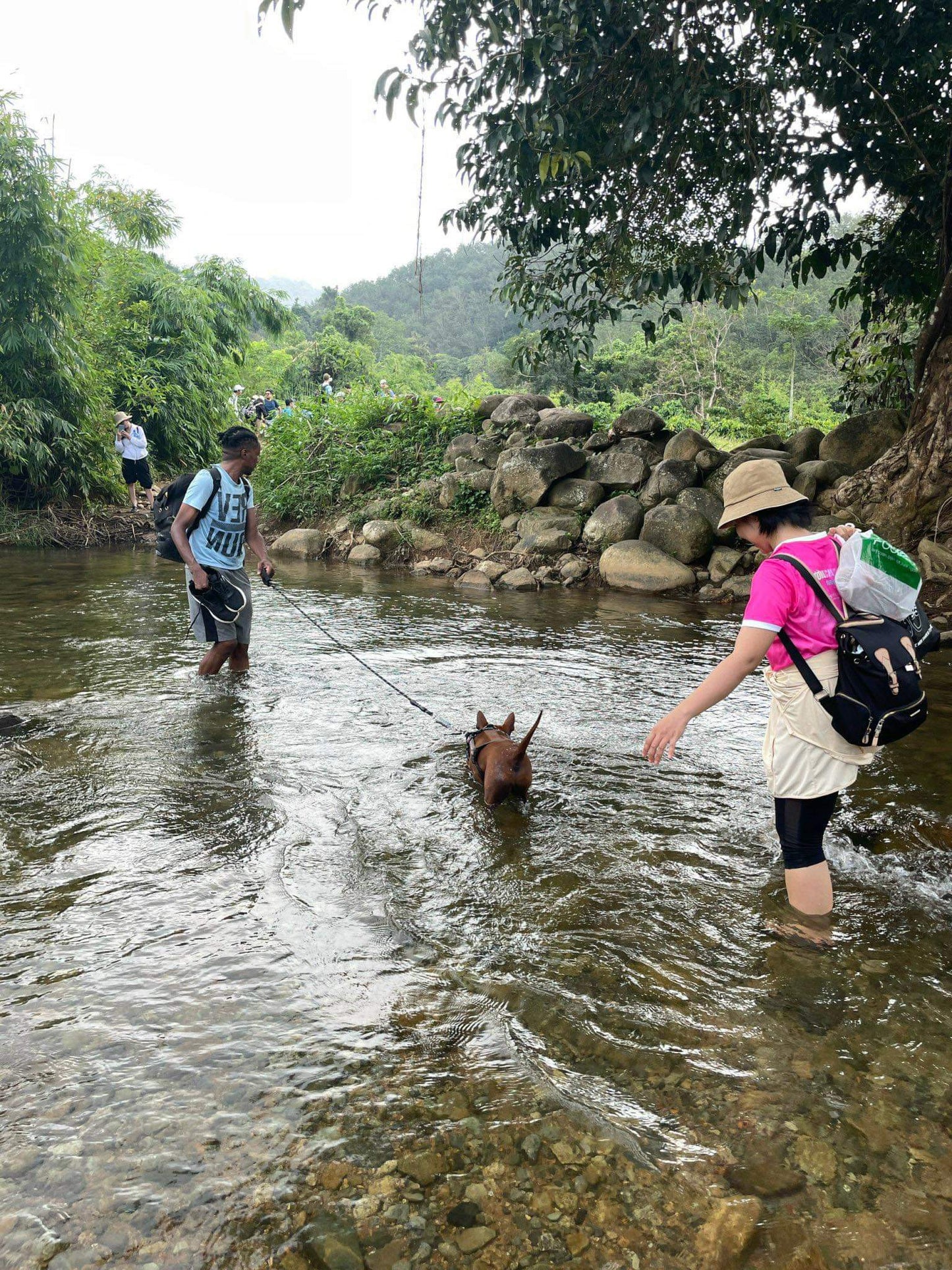 58A: Buffalo Head Waterfalls, The Hidden Gem In The Deep Forest
