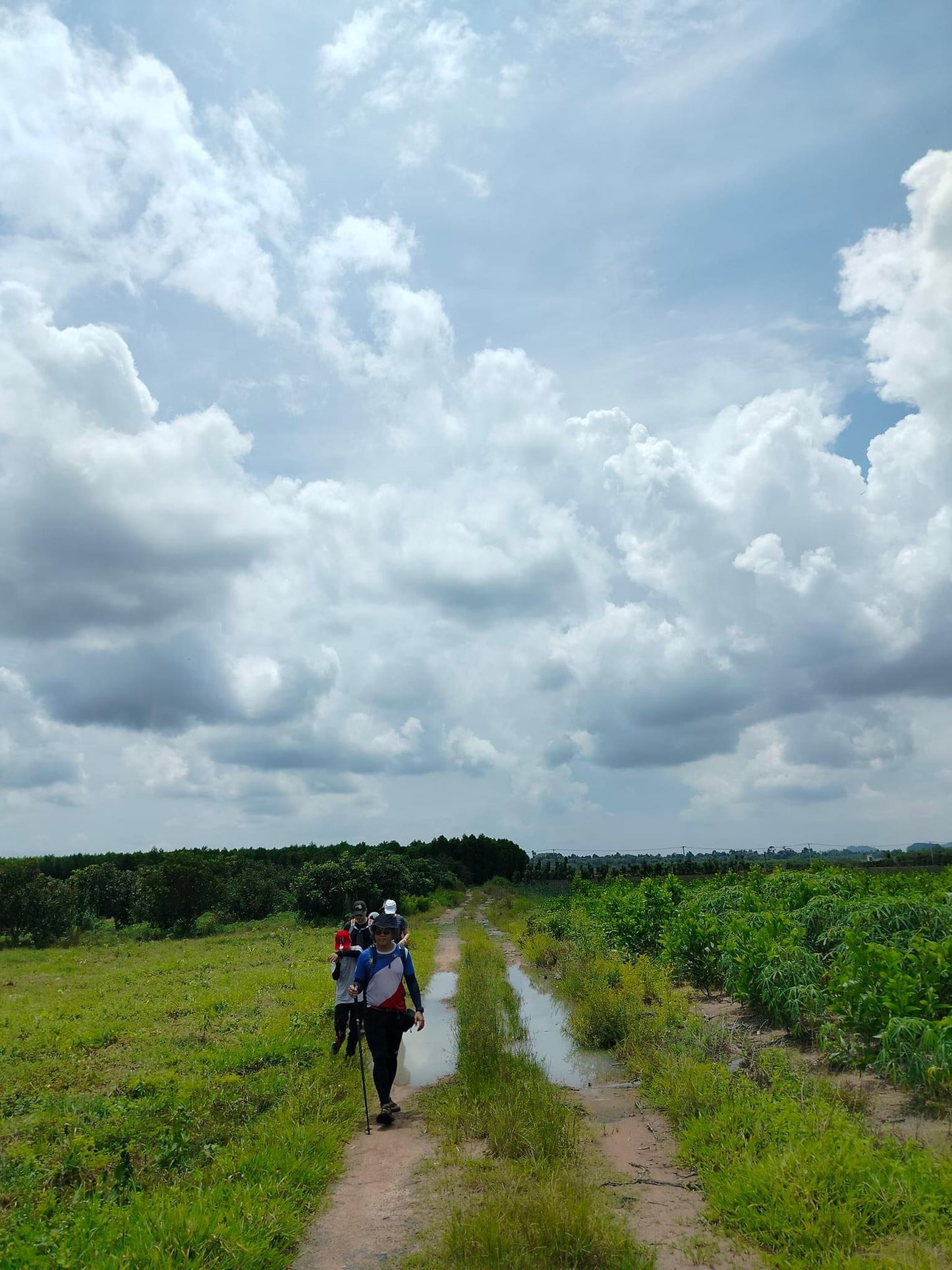 47A: Phu Dien: Boundless Green Rice Fields And The Fascinating Stone Mountain