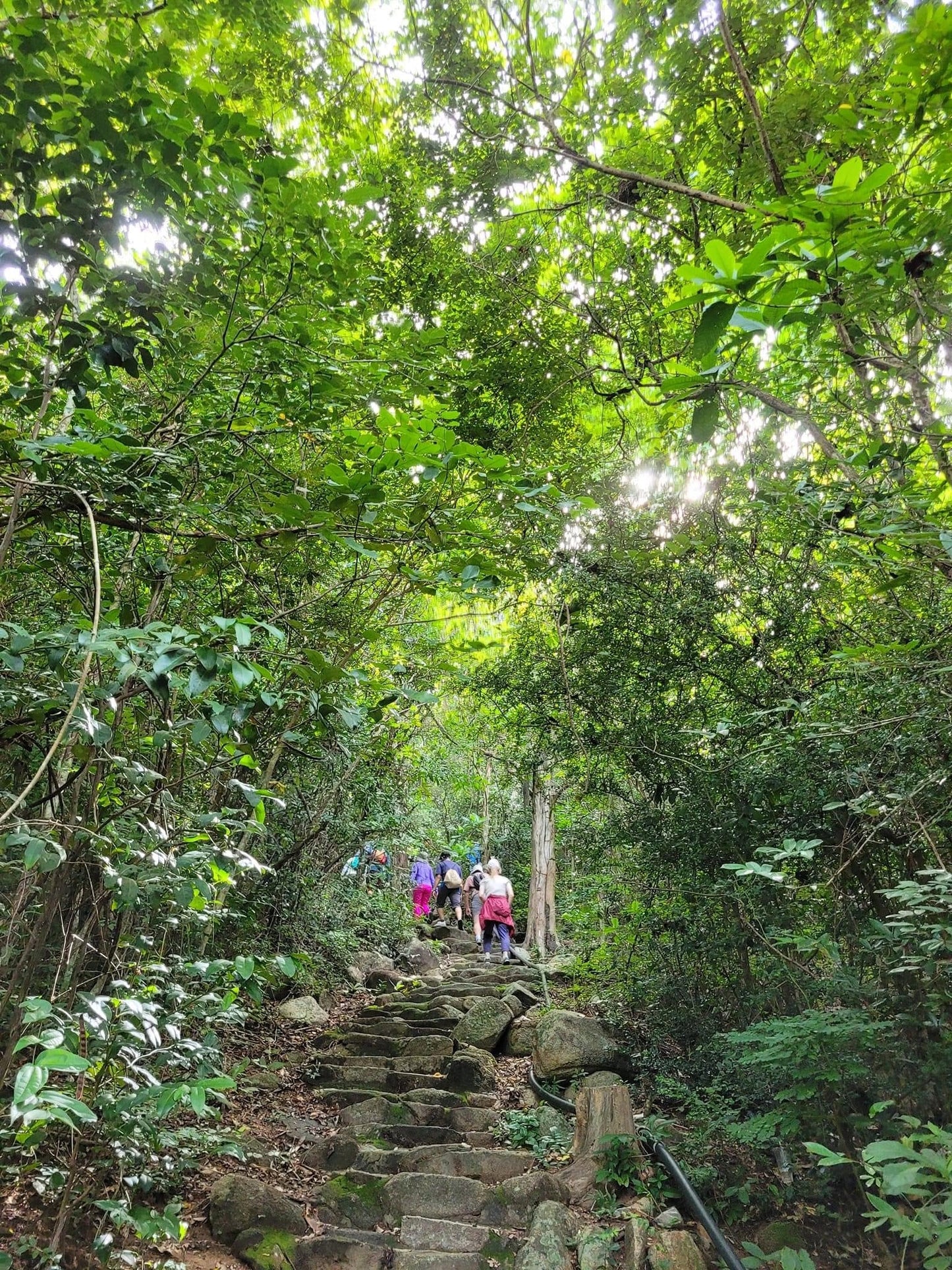 4B: (2 DAYS) Minh Đạm Mountain, Two Beaches and Phuoc Buu jungle