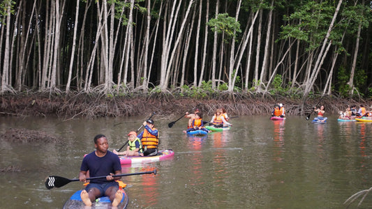 2R: Hike and Stand Up paddle boarding at Can Gio Mangrove Forest! (UNESCO Nature Reserve)