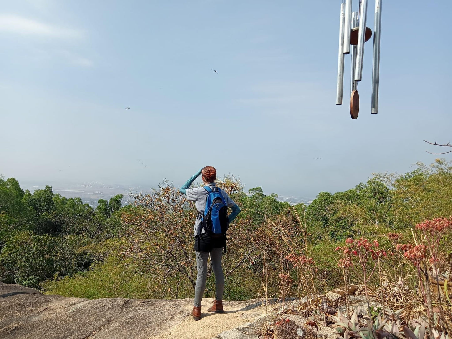 9AB (Shared Bus) Thi Vai Mountain: Hidden Temples, Scenic Trails, Pepper and Coffee Farm Expedition