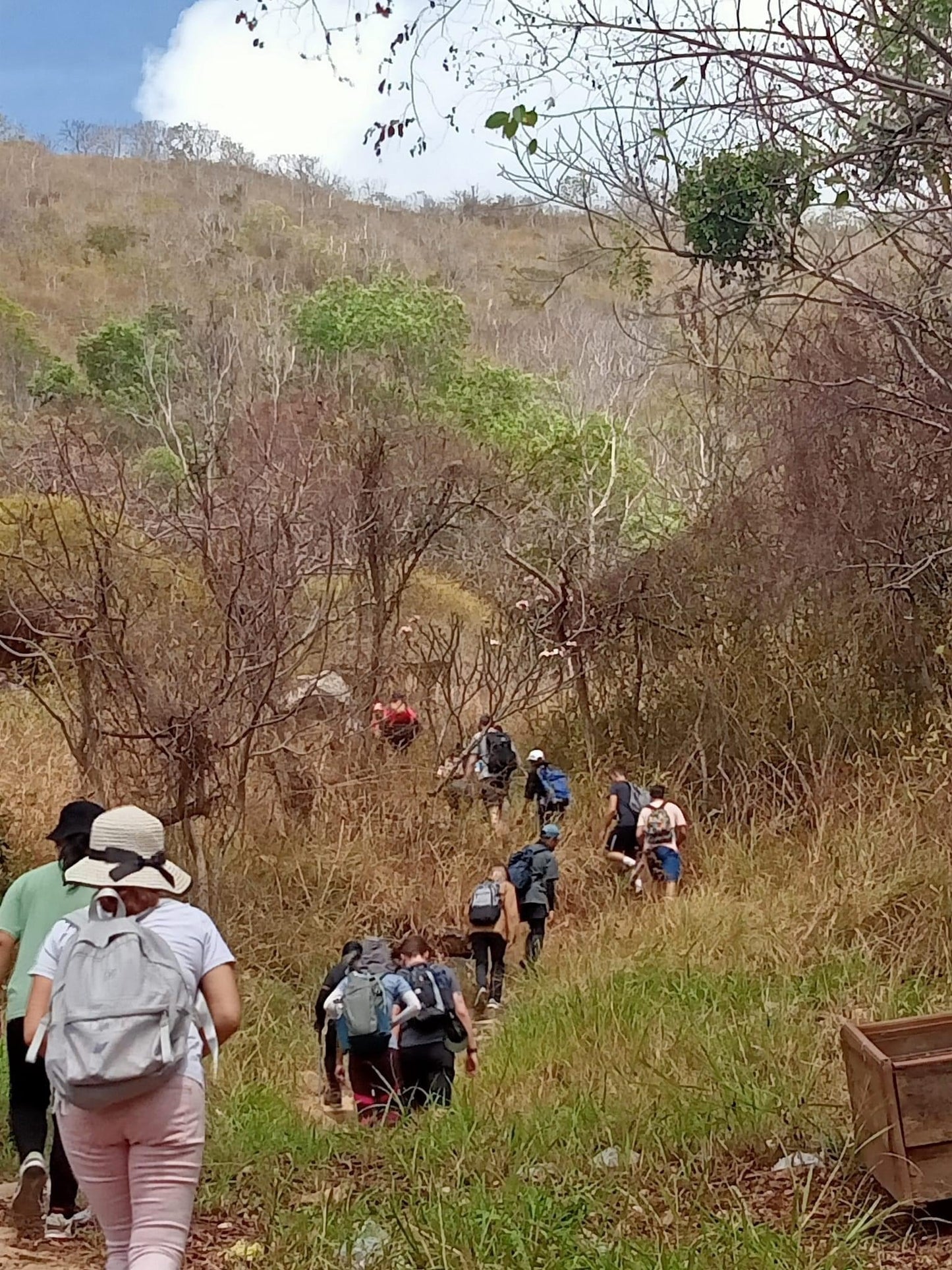 9AB (Shared Bus) Thi Vai Mountain: Hidden Temples, Scenic Trails, Pepper and Coffee Farm Expedition